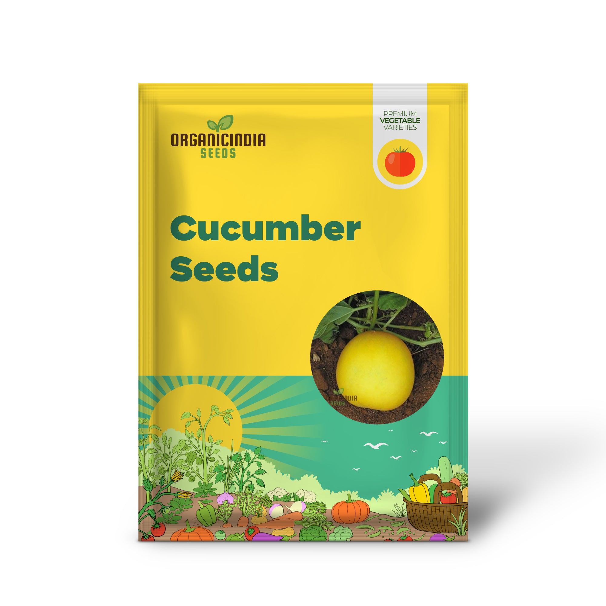 Yellow Cucumber Seedlings Growing from Seeds, Home Garden Vegetables