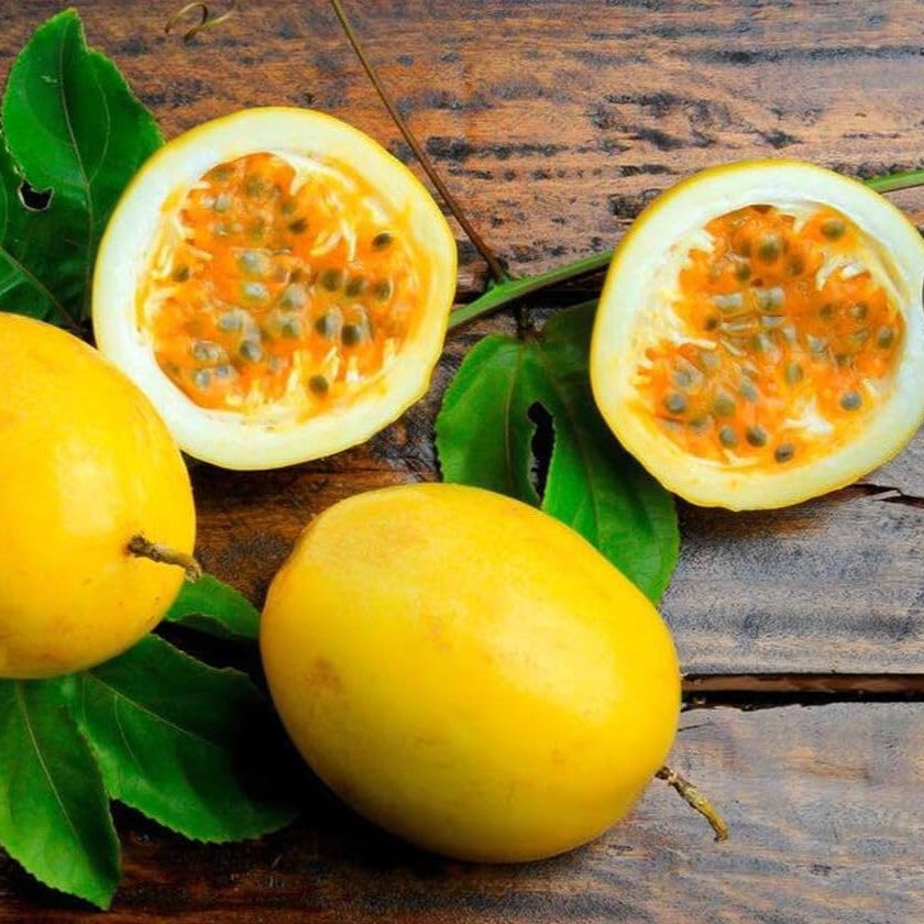Yellow Passion Fruit seeds for planting Non-GMO tropical vines
