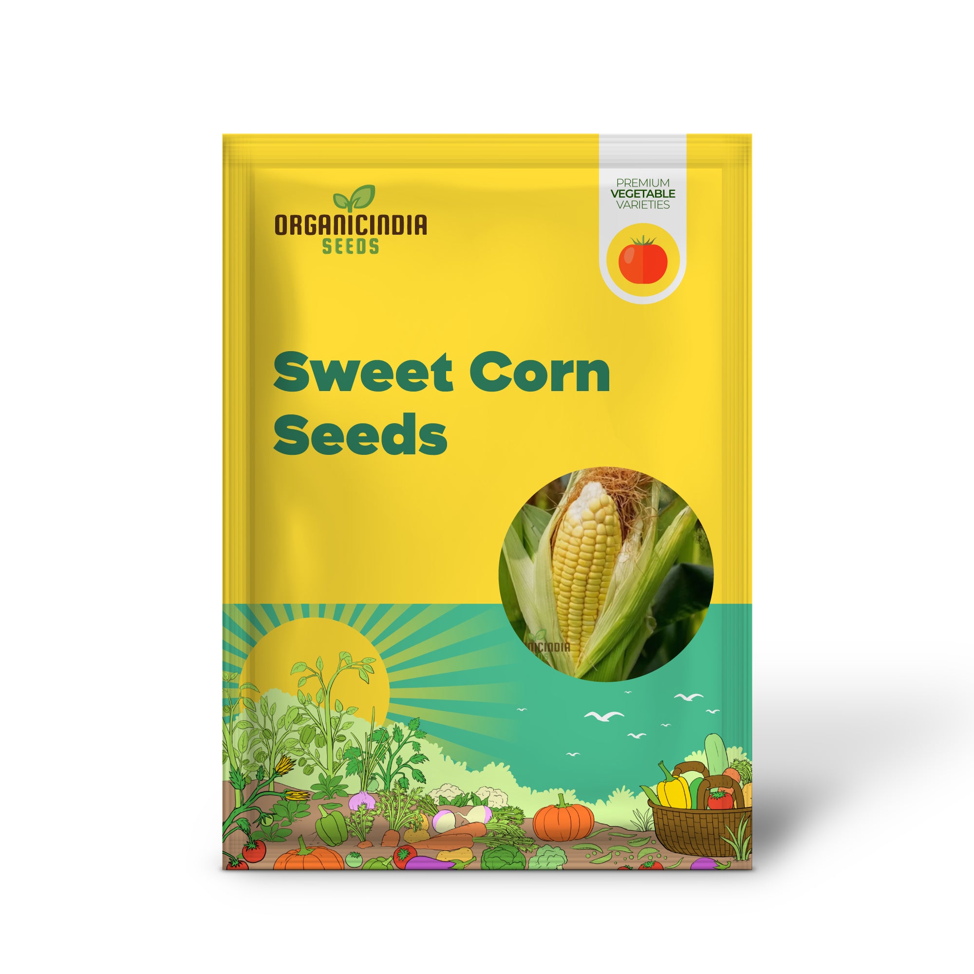 Yellow Corn Seedling for Home Garden, Easy-to-Grow Sweet Corn Seeds