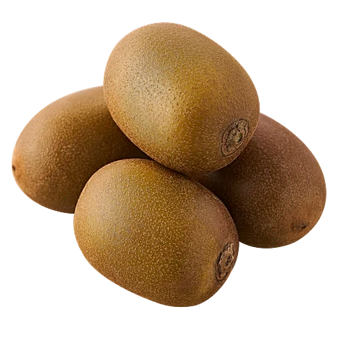 Young Golden Kiwi Vine Growing from Organic Seeds