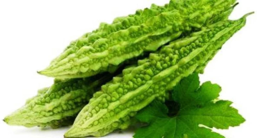 Pusa Do Mausami Bitter Gourd Seeds – High-Yield, Heirloom Variety for Home & Commercial Growing