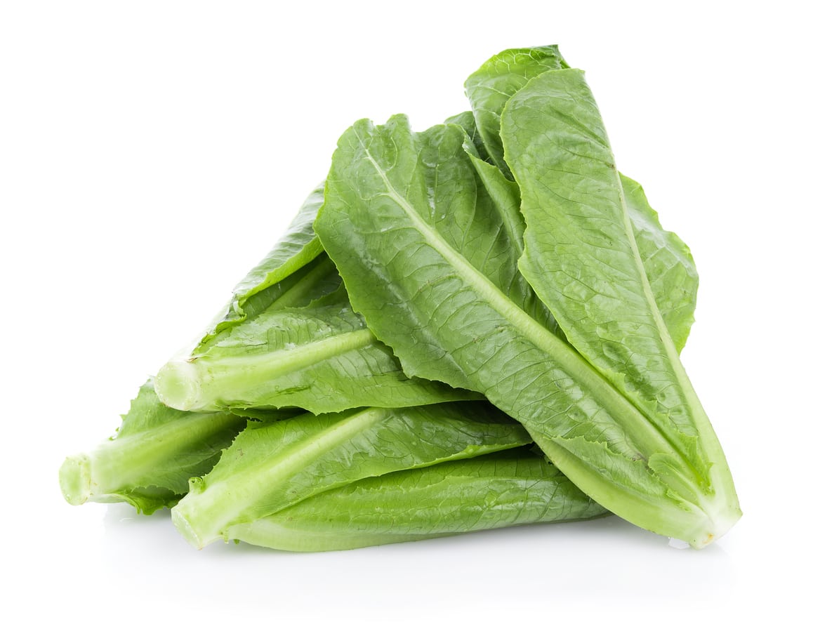 Paris Island Cos Lettuce Seeds – Heirloom, Crisp & Nutritious Variety for Your Garden