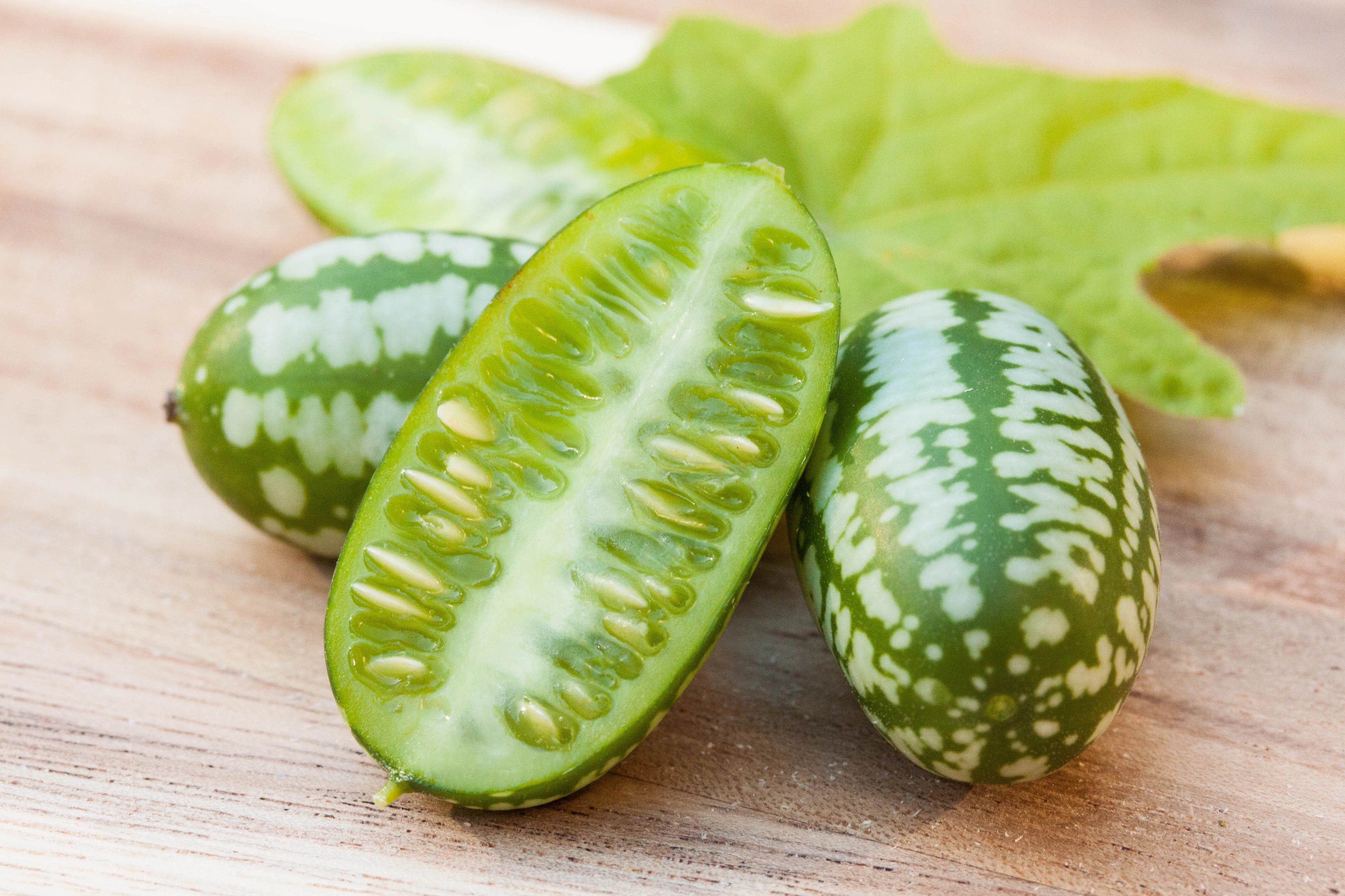 Graines de concombre pour un ajout amusant et savoureux à votre jardin – Améliorez votre expérience de jardinage avec ces petits délices croquants !