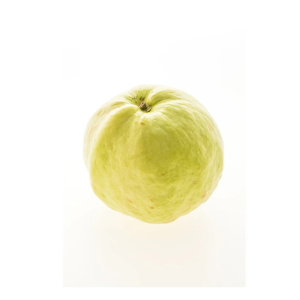 Peruvian White Guava Seeds – Sweet & Aromatic Tropical Fruit for Planting