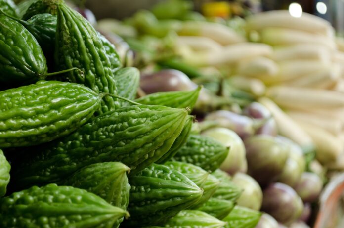Philippine Ampalaya Bitter Gourd Seeds – High-Quality, Fast-Growing & Heirloom Variety
