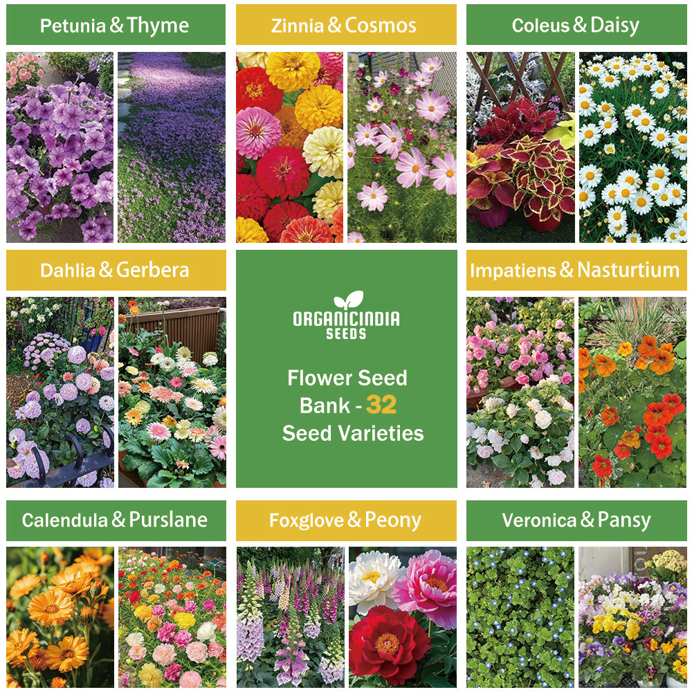 All-in-One Flower Seed Bank - 32 Seed Varieties