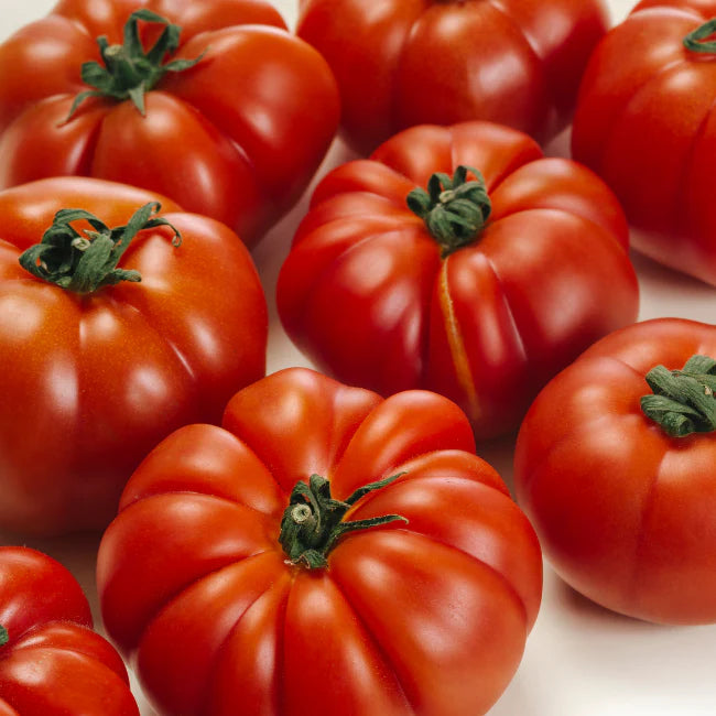 Marmande Tomato Seeds – Heirloom Variety for Juicy & Flavorful Harvests