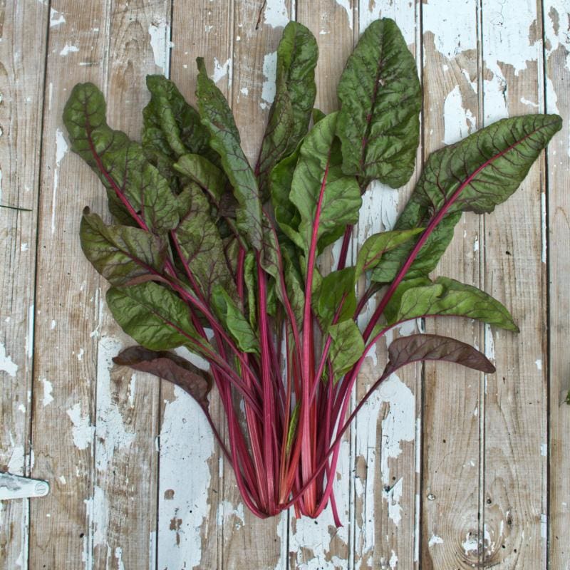Red Cardinal Spinach Seeds – Vibrant, Nutritious Greens for Your Garden