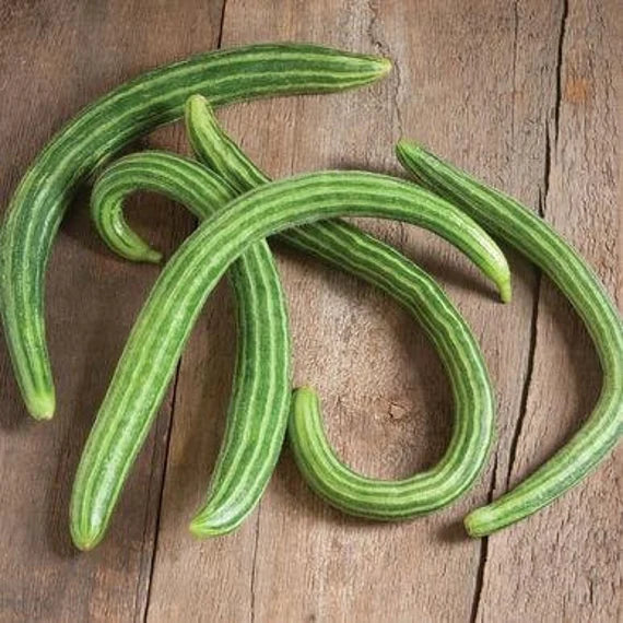 Armenian Cucumber Seeds (Cucumis melo) – Heirloom, Crisp & Sweet - Grow Your Own Cucumbers