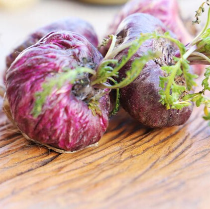Red MACA Peruvian Ginseng Vegetable Seeds - 50 Pieces