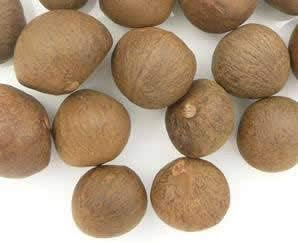 Green Tea Plant Seeds  Camellia Sinensis  Tea Plant, Tea Tree  Seeds for Growing Your Own Tea