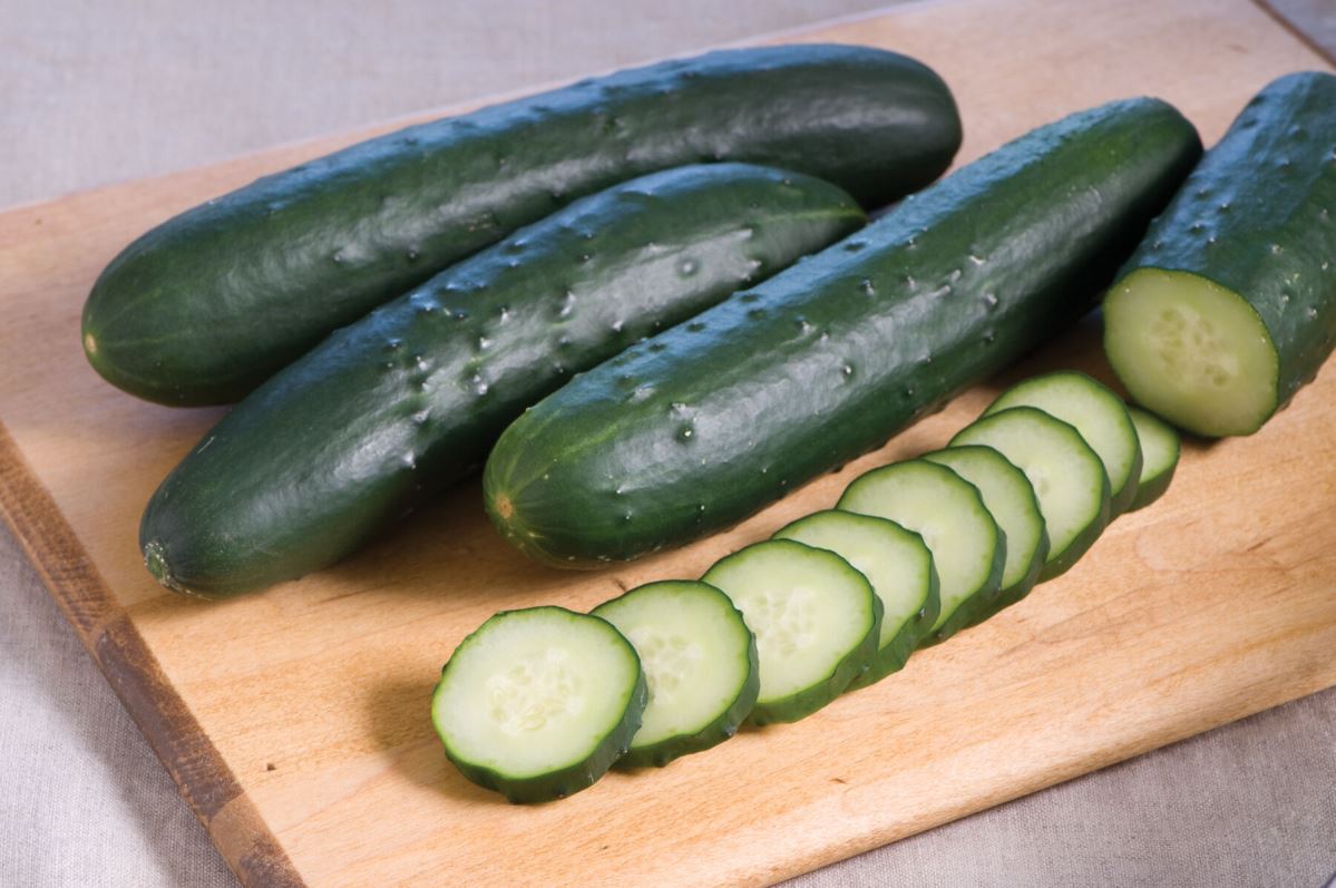 Corinto Cucumber Seeds – High-Yield, Crisp & Sweet Hybrid for Greenhouse & Garden