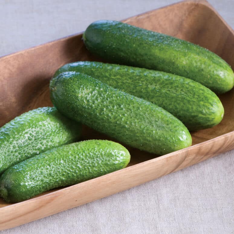 Harmonie Cucumber Seeds – Productive, Crisp, Ideal for Fresh Eating & Pickling