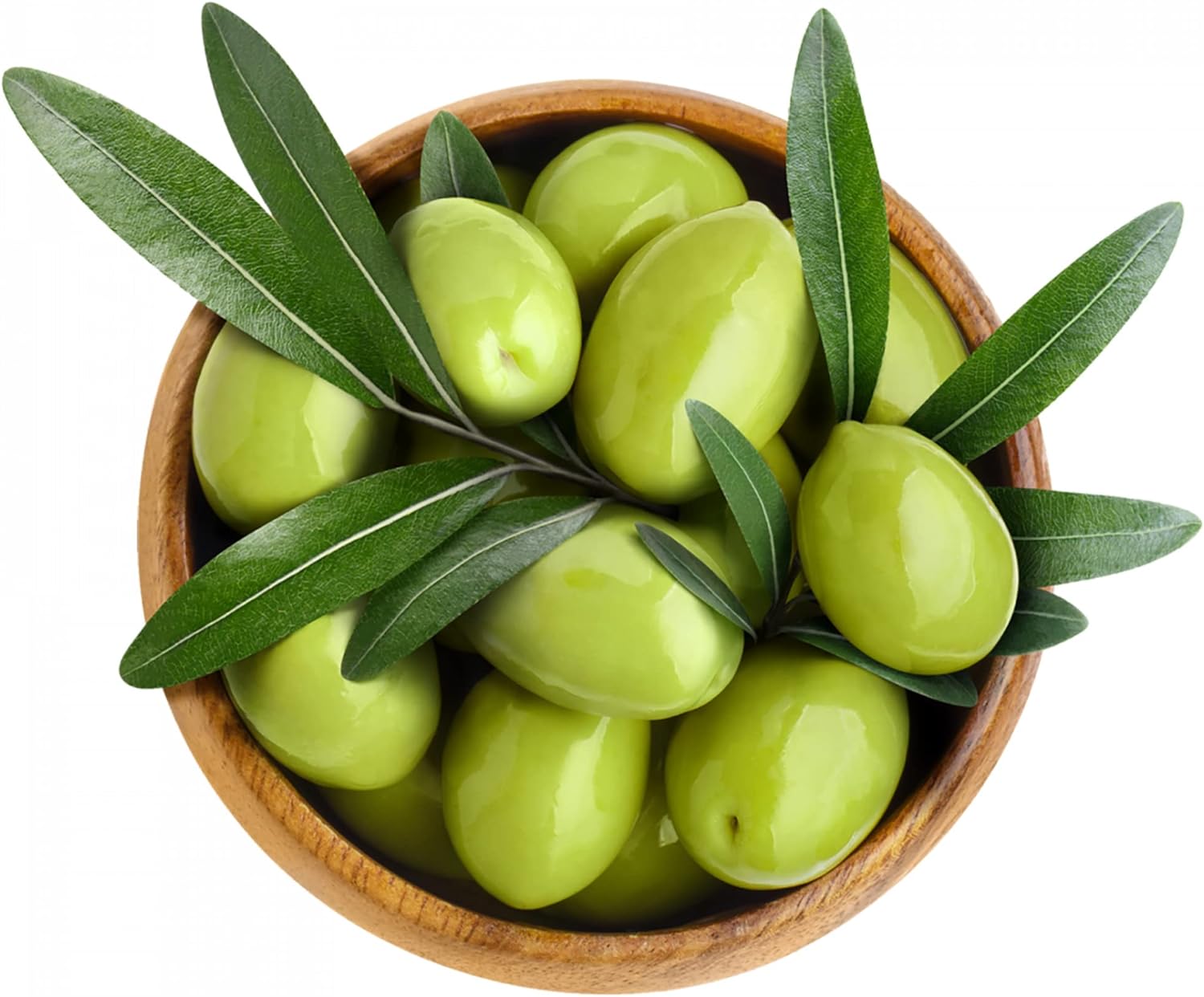 Olive Fruit Tree Seeds for Planting  Non GMO, Evergreen Perennial