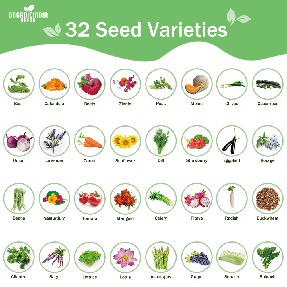 All-in-One Mixed Seed Bank - 32 Seed Varieties
