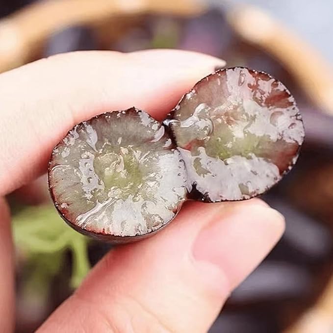 Rare Black Finger Grape Seeds For Planting