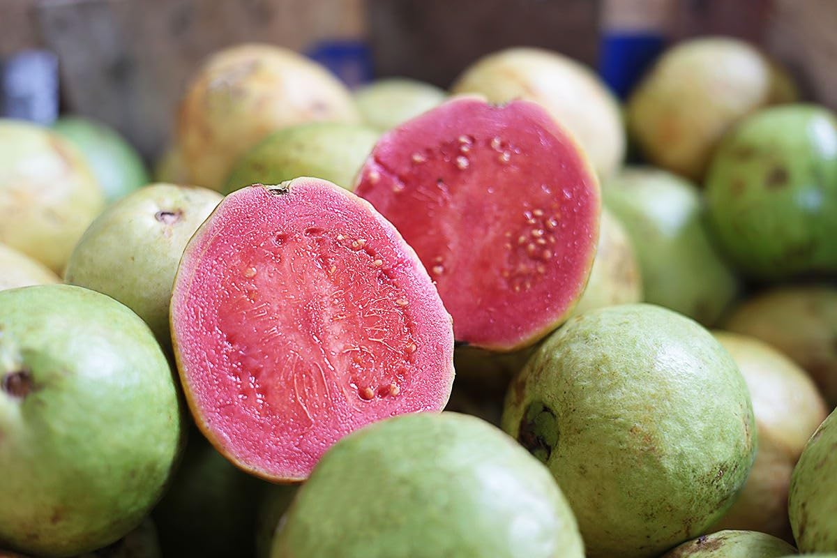 Tropical Pink Guava Seeds, Sweet & Juicy Fruit for Planting