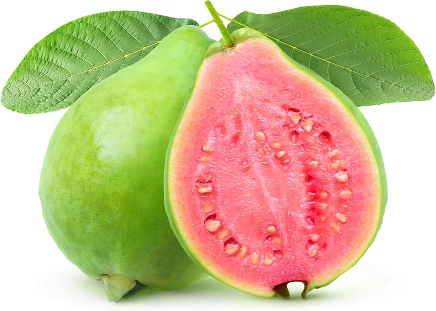 Guava Seeds - Red Psidium Guajava, Perennial Sweet & Fragrant Tropical Fruit