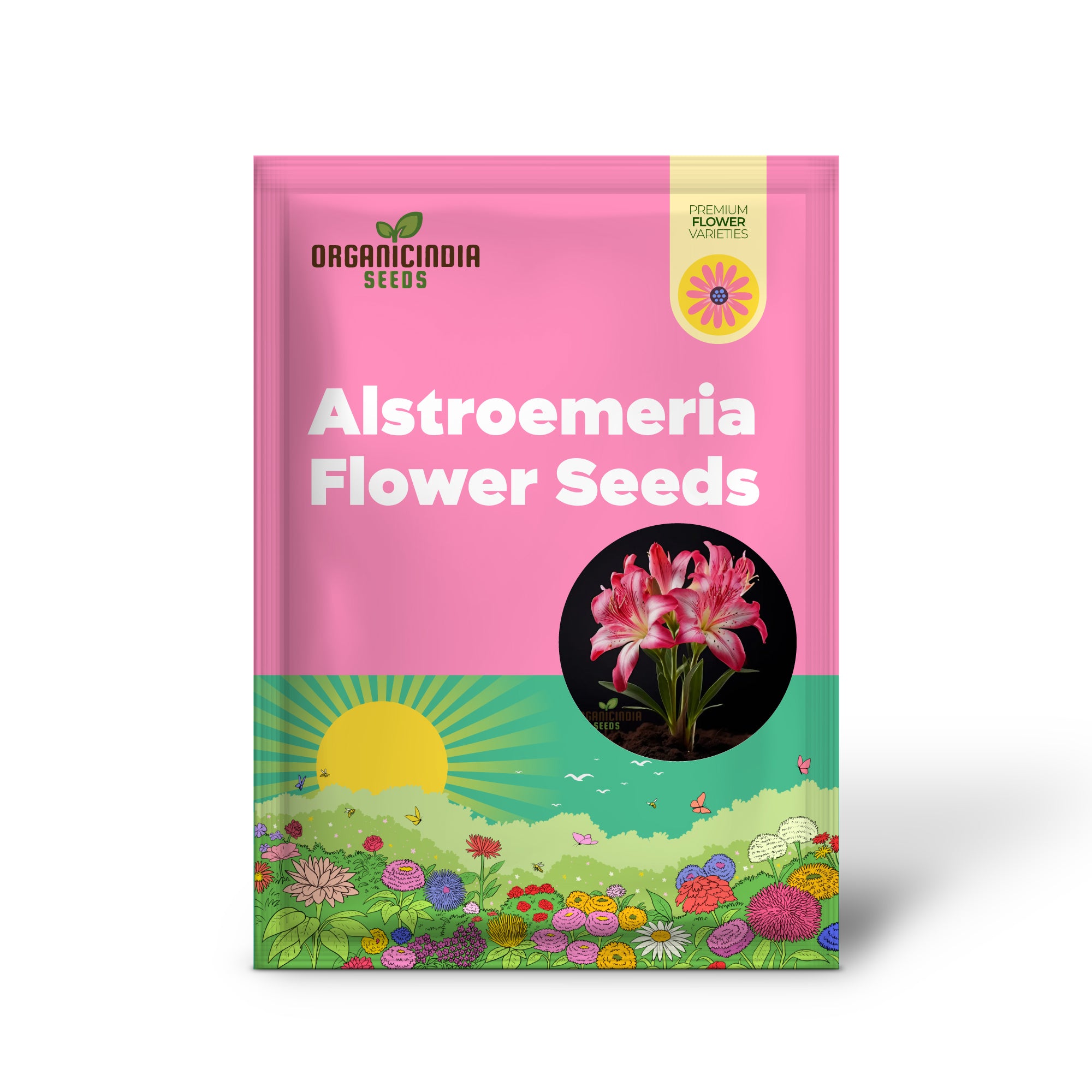 Alstroemeria Flower Seeds for Planting,Add Colorful Blooms to Your Garden