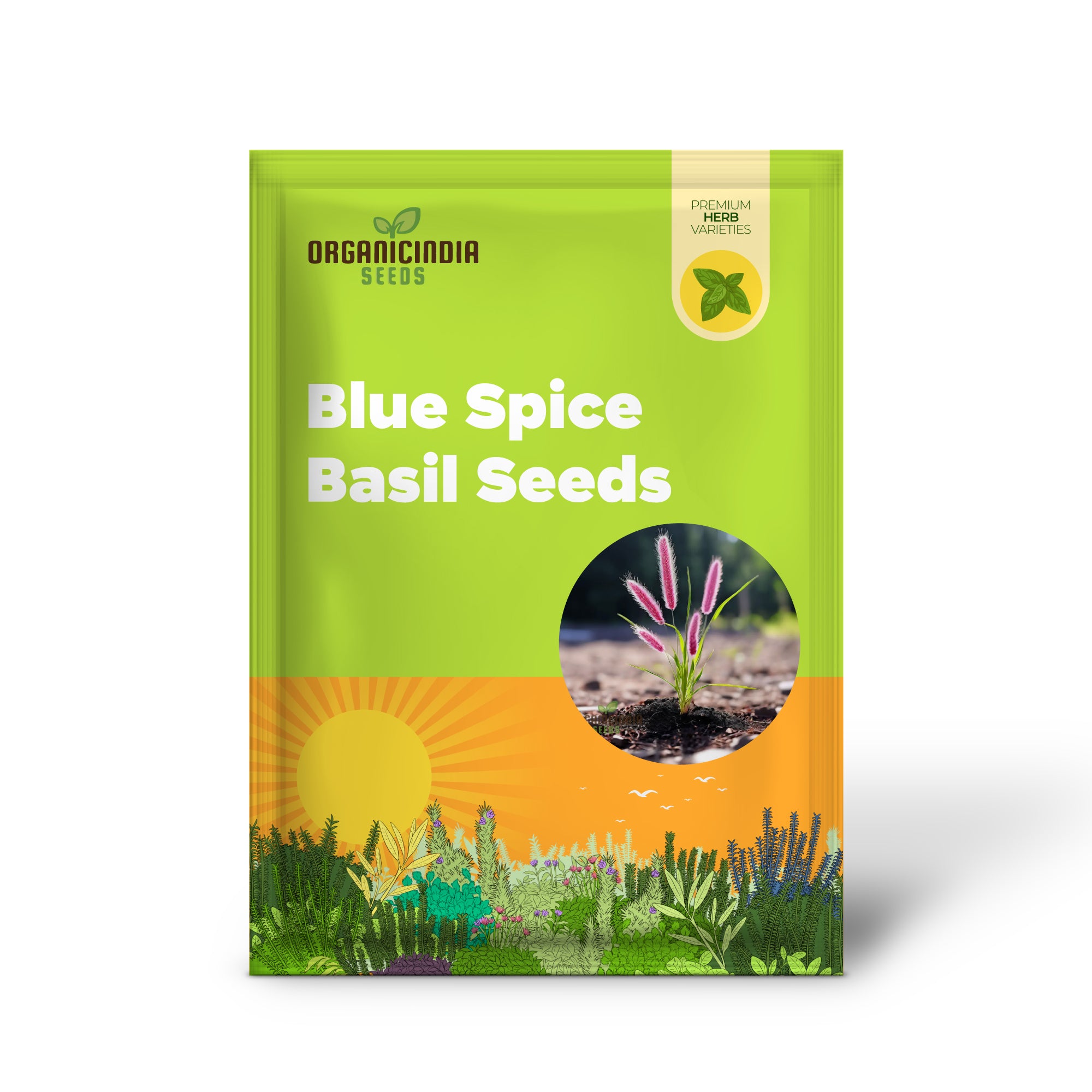 Blue Spice Basil Seeds, Fragrant Perennial Herb for Planting - Elevate Your Culinary Creations with Premium Herb Seeds