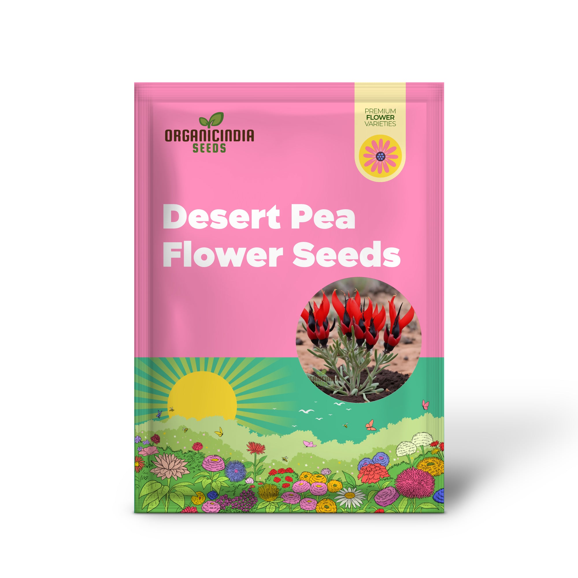 Sturt's Desert Pea Flower Seeds – Grow Exotic Australian Blooms in Your Garden