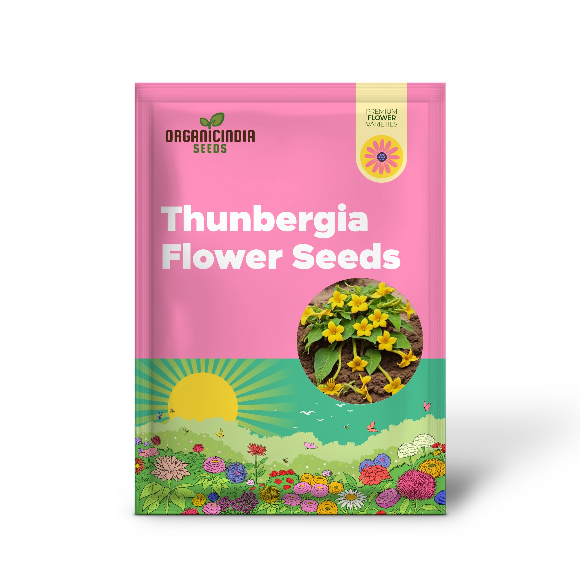 Yellow Thunbergia Flower Seeds for planting