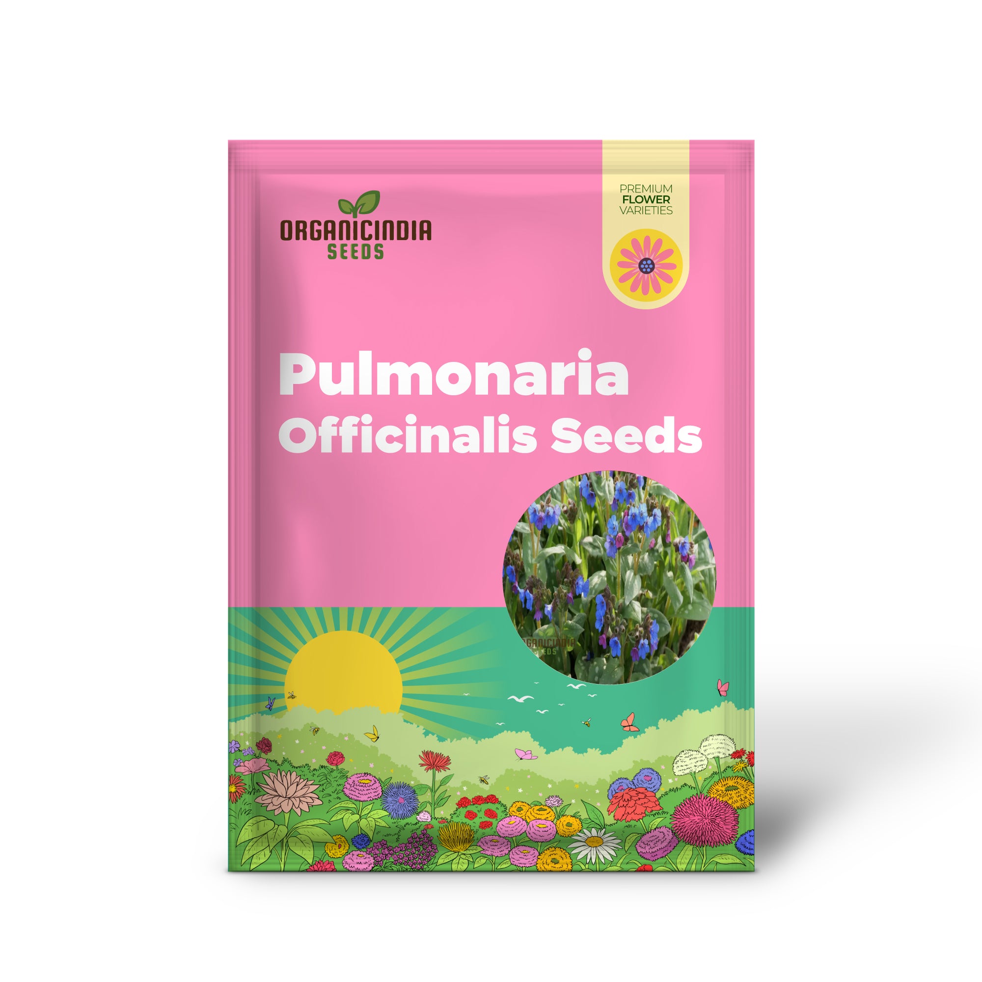 Blue Lungwort Seeds or Pulmonaria Officinalis Seeds for Planting