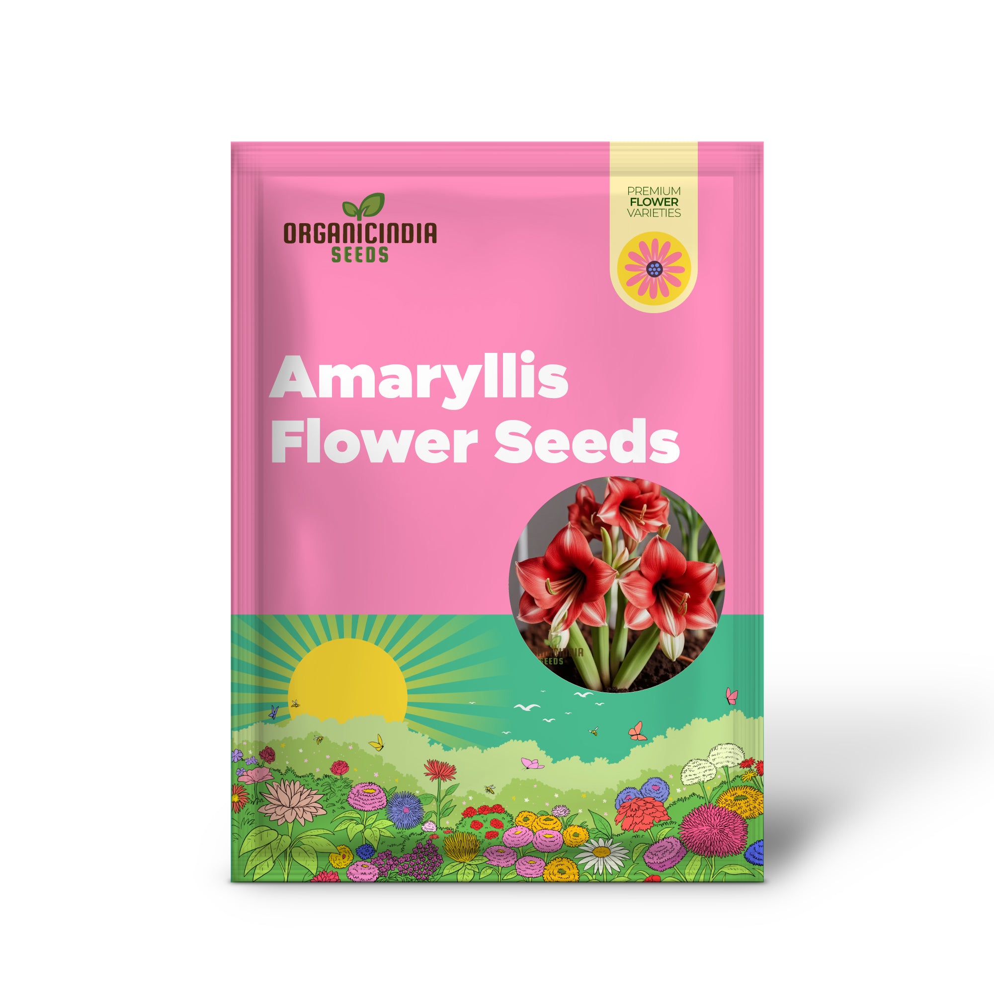 Amaryllis Flower Seeds Majestic Blooms for Vibrant Garden Displays - Premium Flower Seeds for Planting and Gardening Excellence