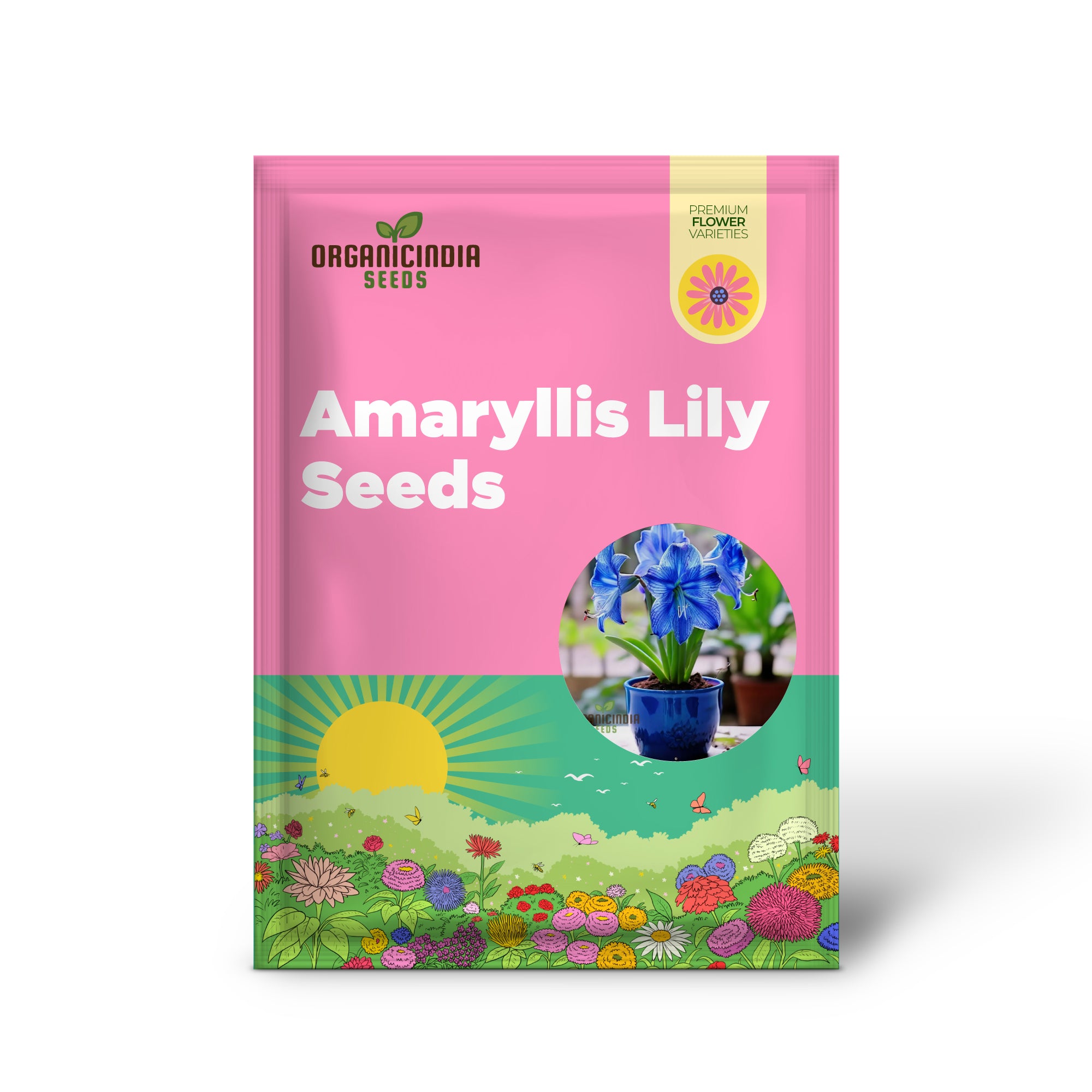 Blue Amaryllis Lily Seeds, Premium Blue Belladonna and Lily Seeds for Planting and Gardening, Cultivate Exquisite Blue Blooms in Your Garden