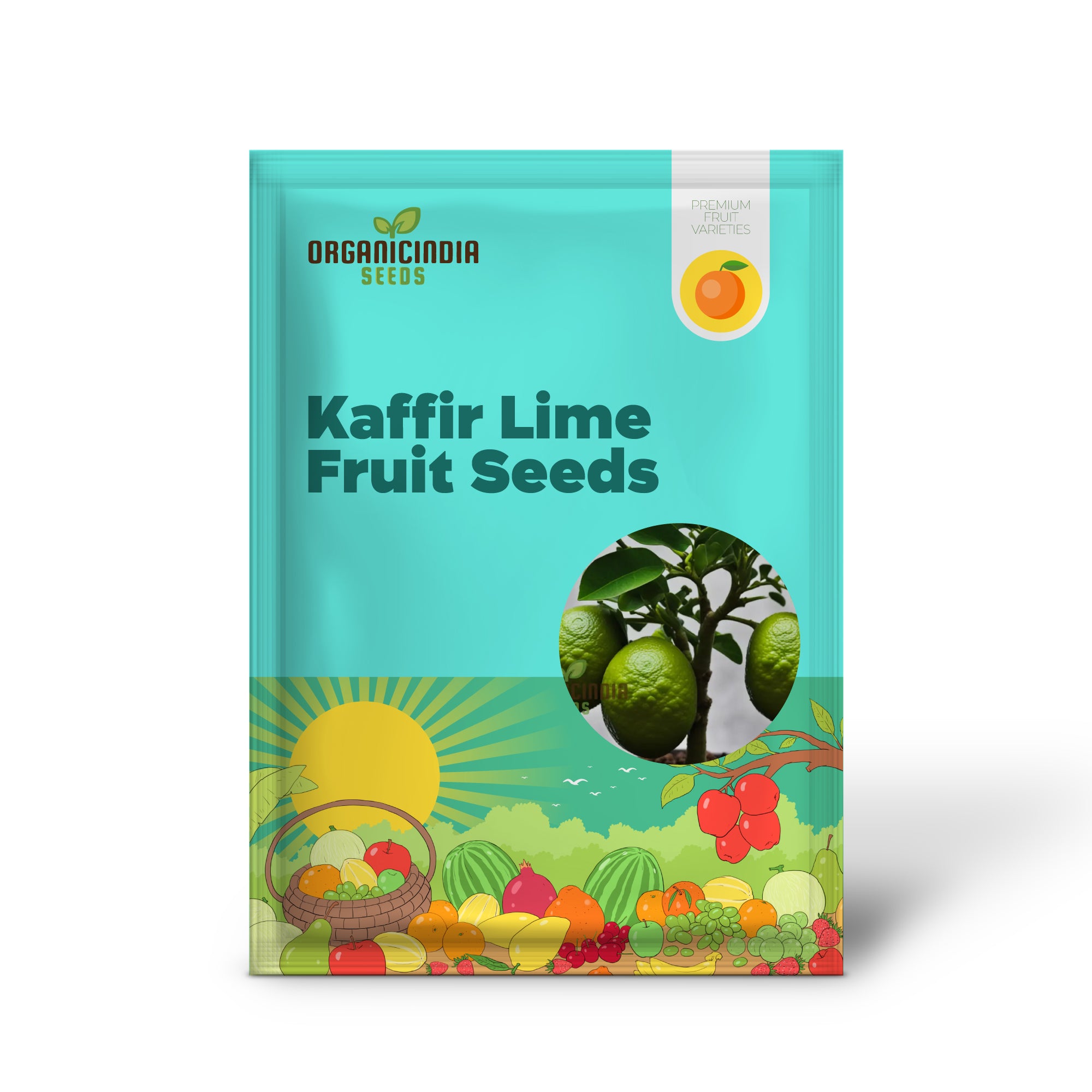 Cultivez Citrus Bliss, des graines de tilleul Kaffir pour votre oasis de jardin luxuriant