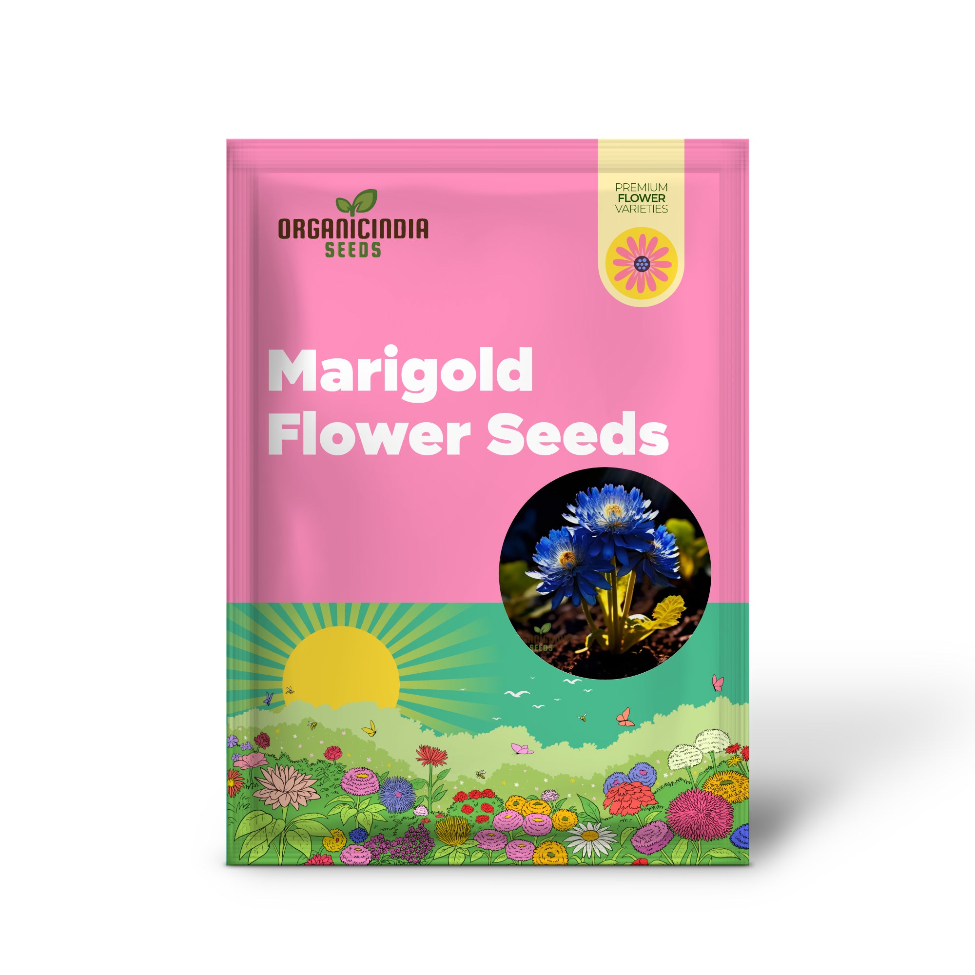 Blue Marigold Flower Seeds - Rare Indigo Blooms for Distinctive Garden Charm
