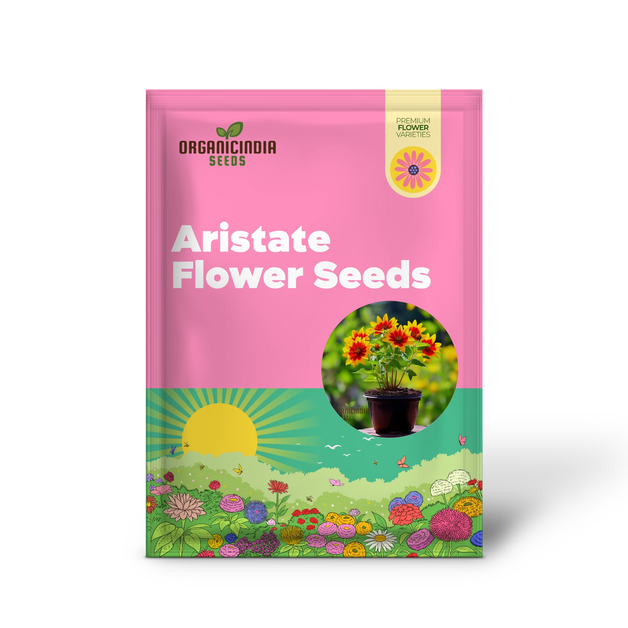 Golden Flame Aristate Flower Seeds - Fiery Yellow and Red Blossoms for Radiant Gardens