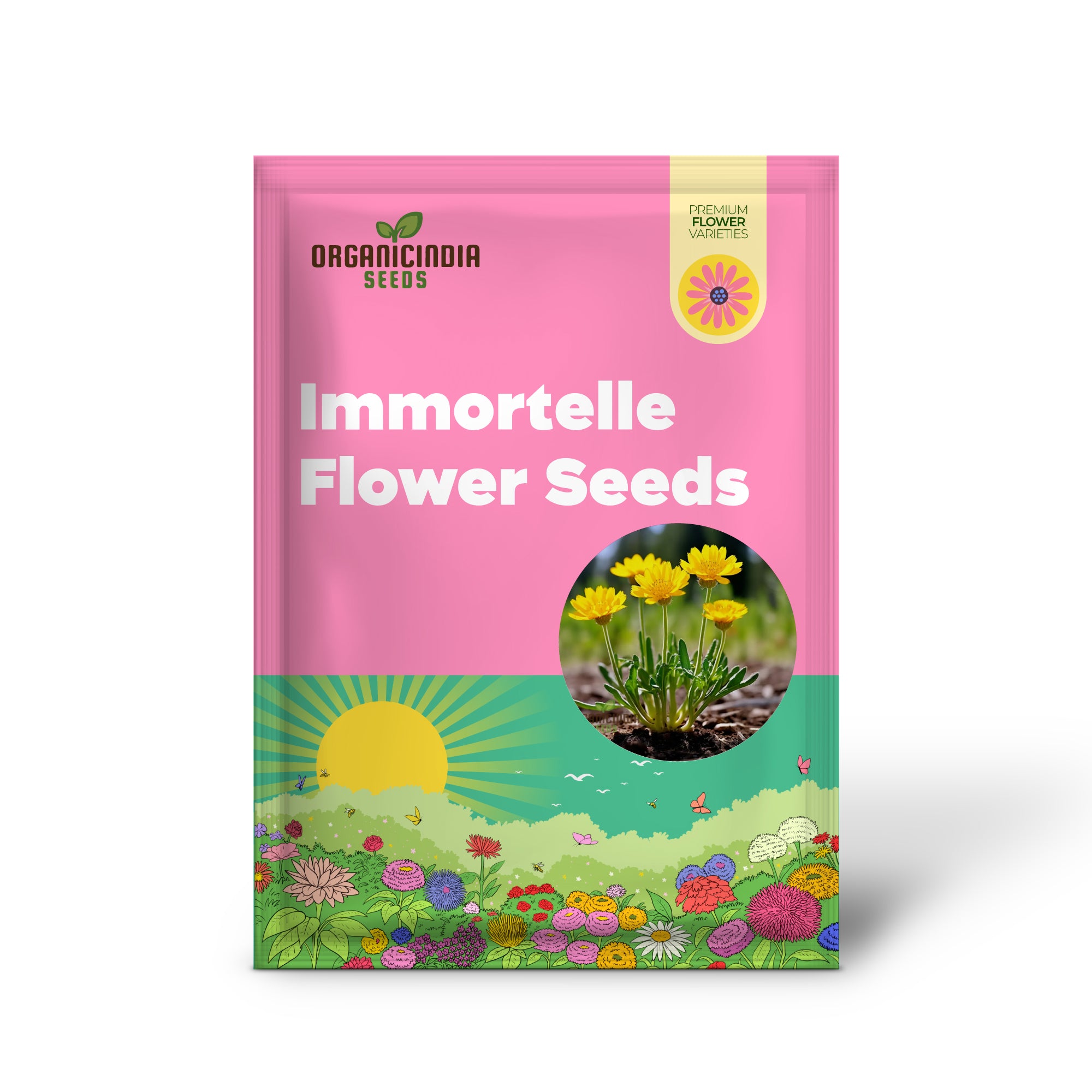 Immortelle Flower Seeds, High-Quality Seeds for Everlasting Garden Blooms and Planting