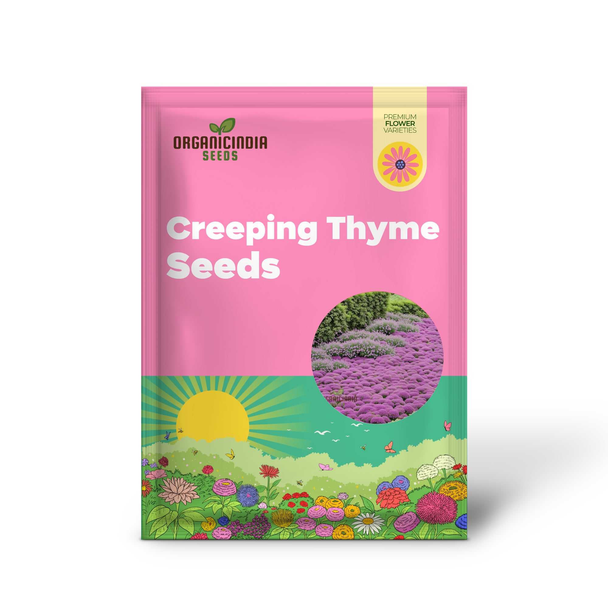 Premium Kriechender Thymian Blumensamen, aromatischer Bodendecker für üppige und duftende Gärten