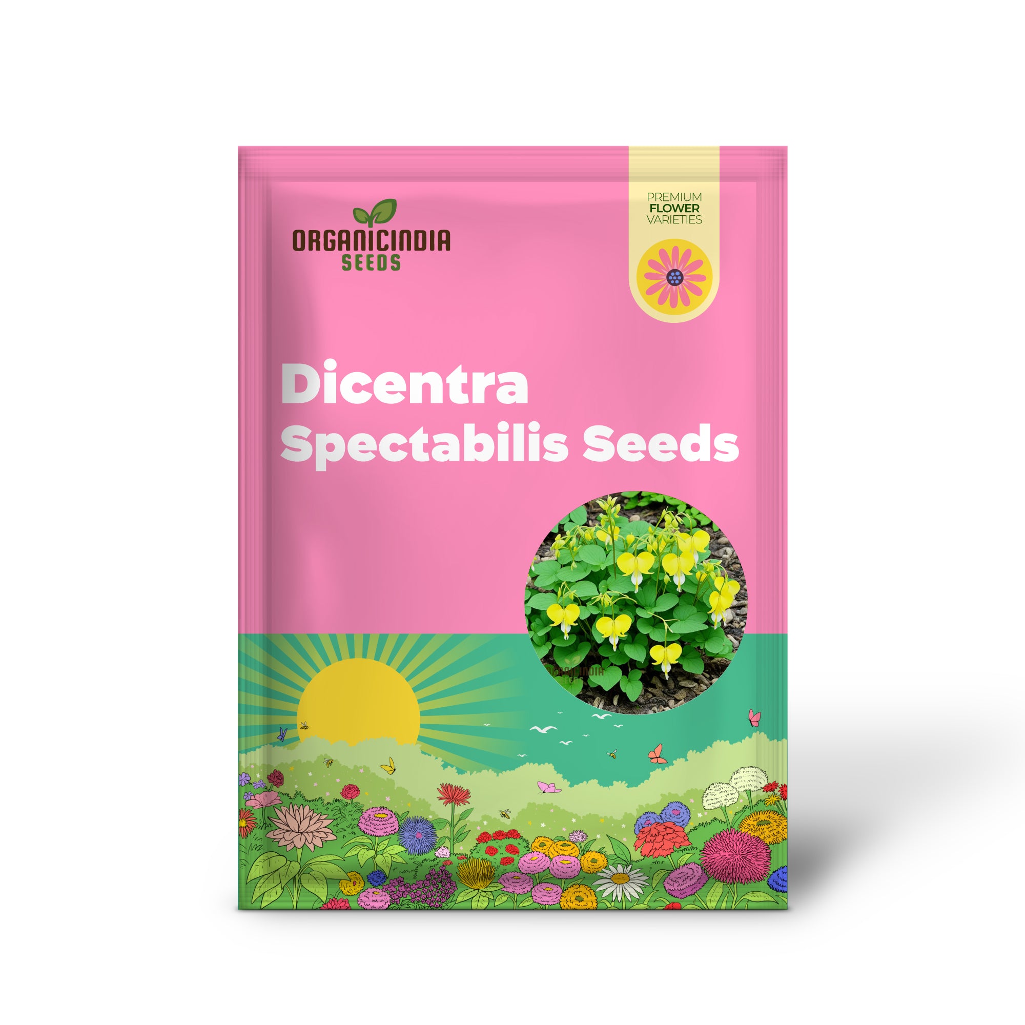 Buy Dicentra Spectabilis Seeds  Premium Bleeding Heart Seeds for Beautiful Gardens