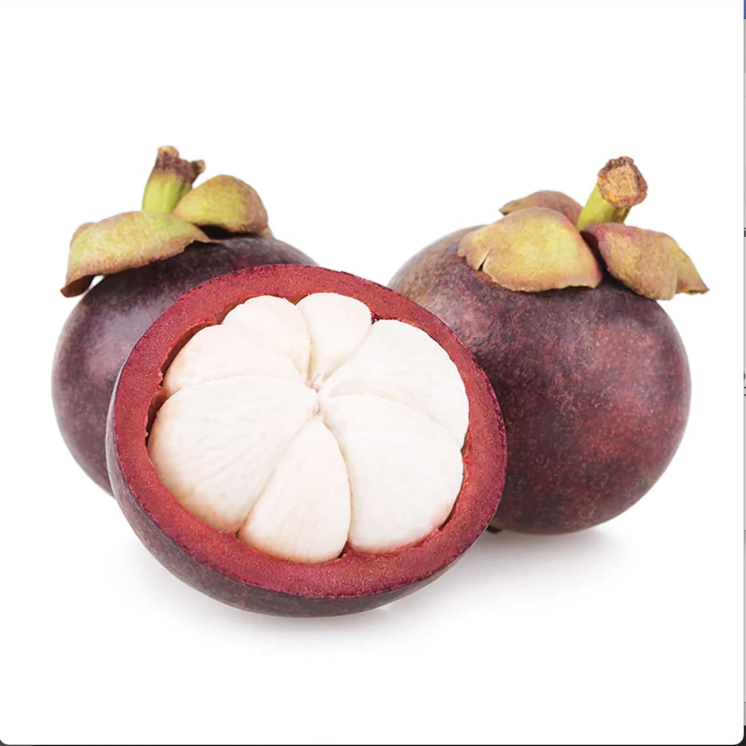 Mangosteen Seeds - Sweet Evergreen Tropical Fruit, GMO-Free for Garden