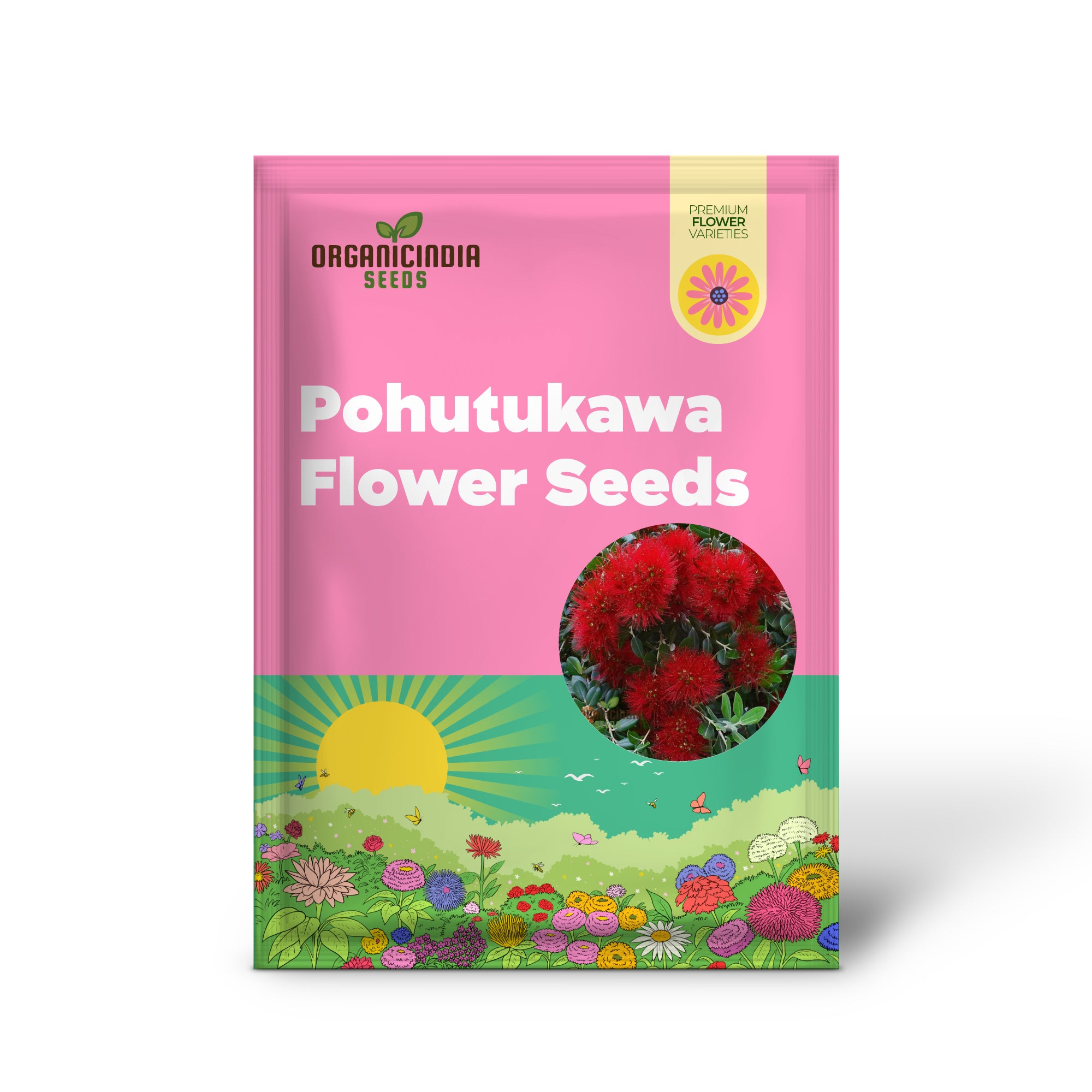 Graines de Pohutukawa à planter, améliorez votre expérience de jardinage avec des fleurs époustouflantes