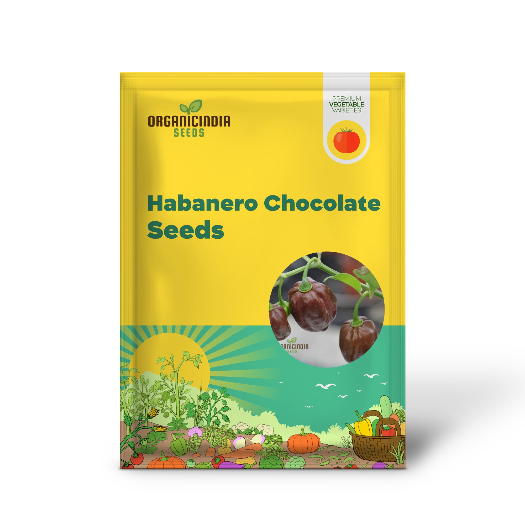 Hot Chilli Pepper 'Habanero Chocolate', A Detailed Guide to Planting and Growing Fiery Habanero Vegetable Seeds