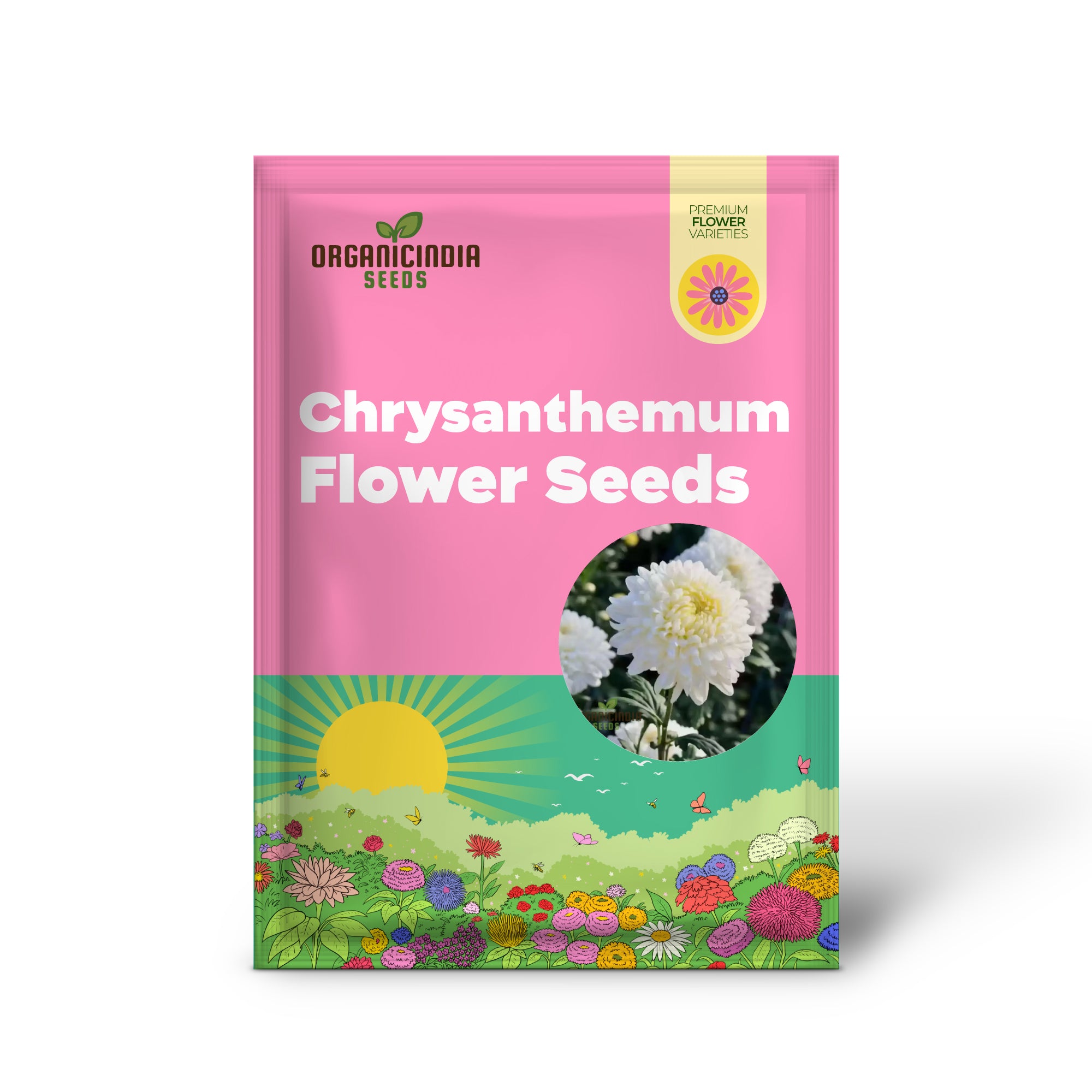 Graines de fleurs de chrysanthème blanc pour les amateurs de jardinage - Parfait pour votre jardin fleuri