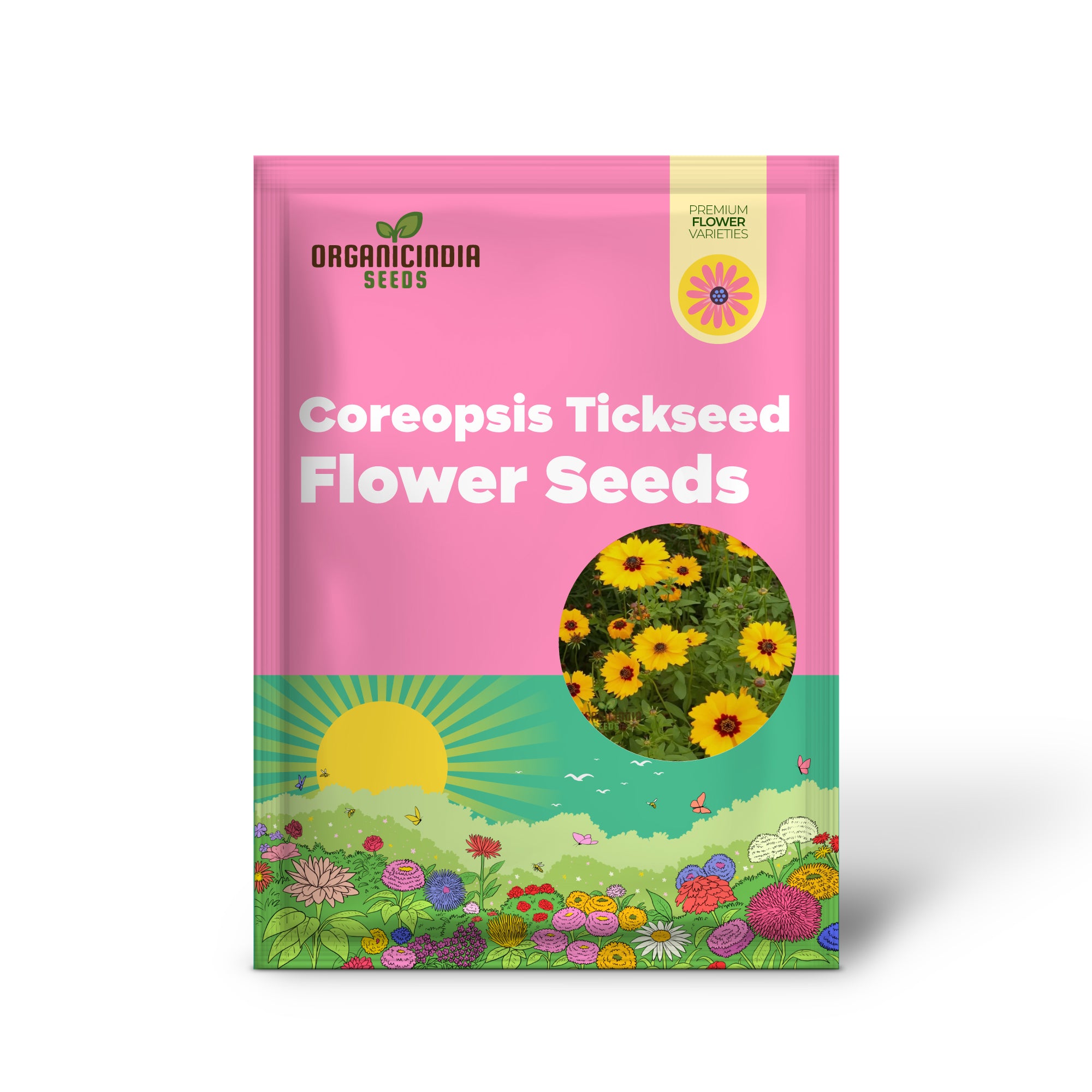 Graines de fleurs Golden Wave Coreopsis Tickseed – Fleurs brillantes pour bordures de jardin ensoleillées