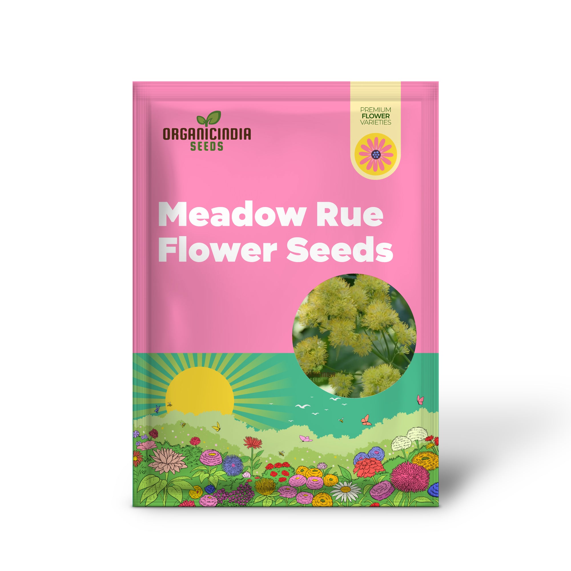 Yellow Meadow Rue Flower Seeds - Elegant Blooms for Airy and Graceful Garden Displays