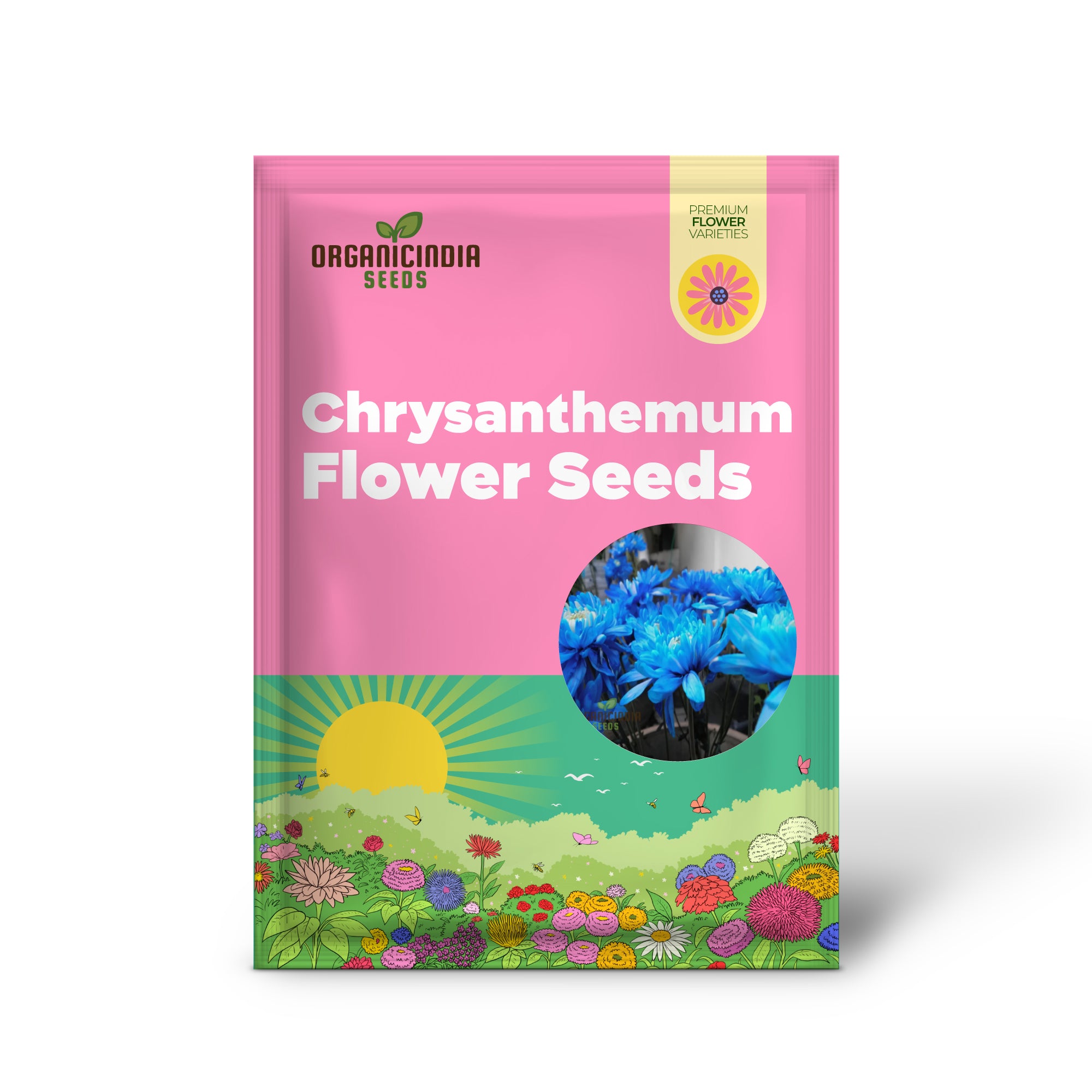 Blaue Chrysanthemen-Blumensamen – atemberaubende azurblaue Blüten für faszinierende Gartendekorationen
