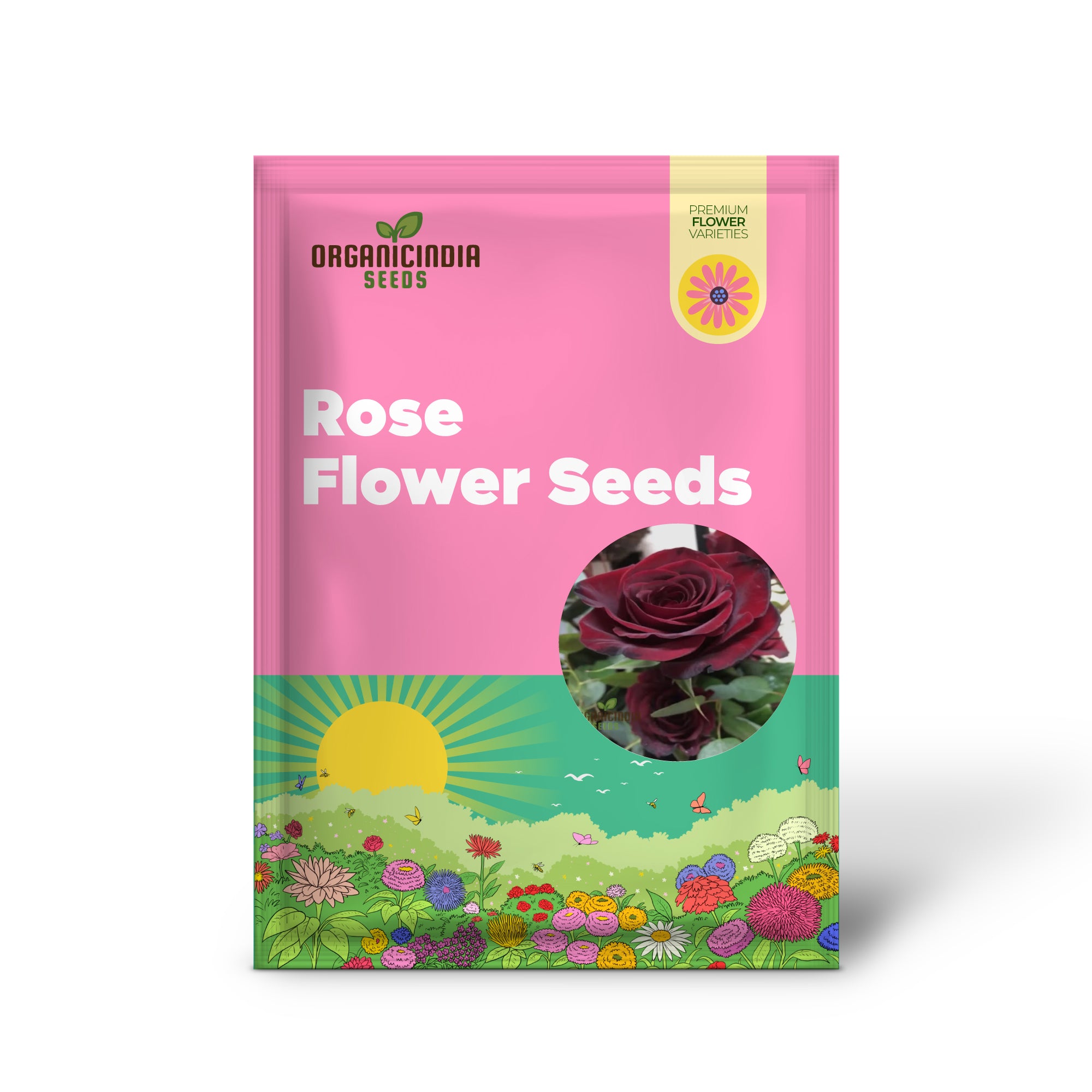 Schwarze Rosensamen mit rotem Rand, einzigartige Blüten, hohe Keimfähigkeit, ideal für den Garten