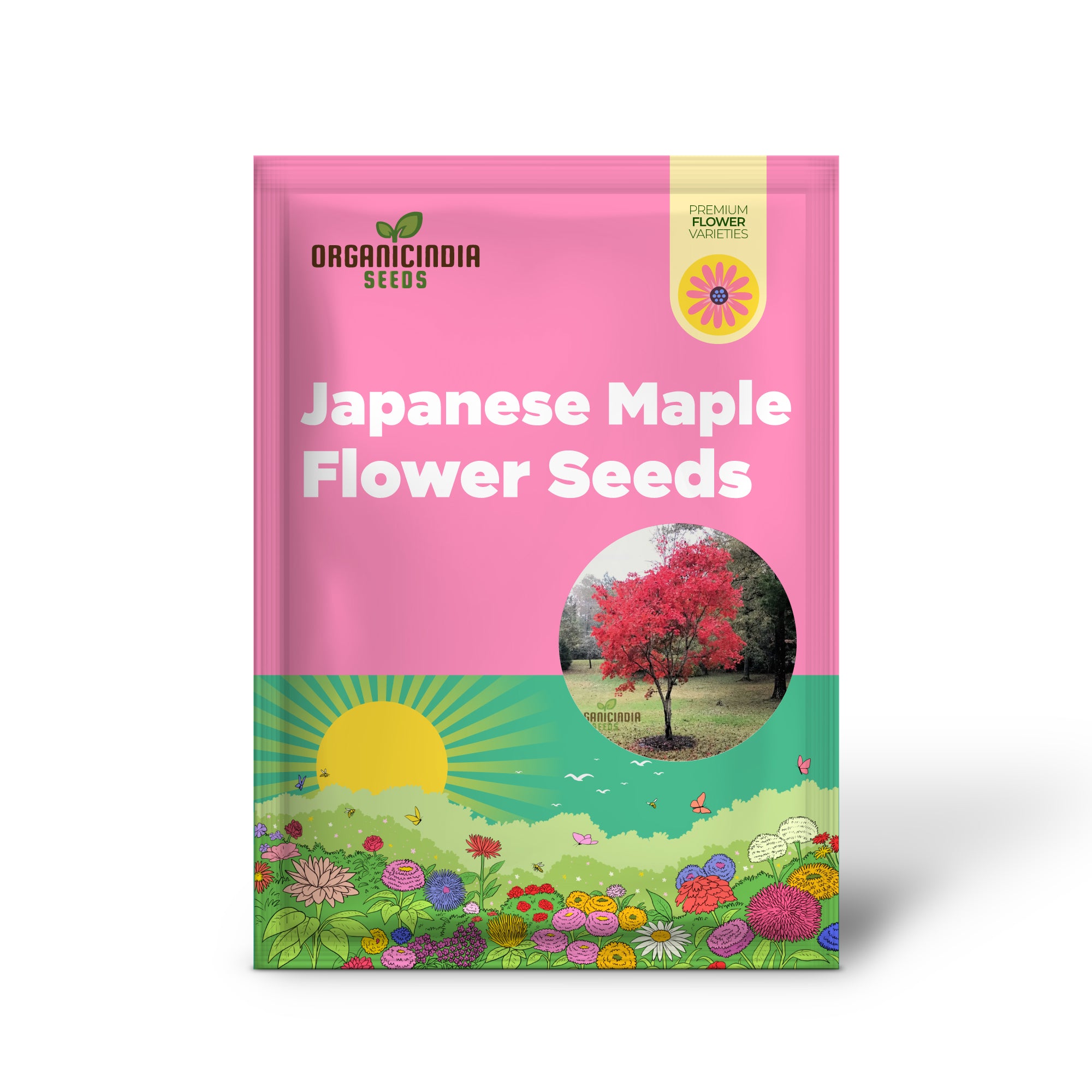 Graines d'érable japonais rouge pour la plantation – Graines de jardinage de qualité supérieure pour un feuillage rouge vif et un aménagement paysager élégant.
