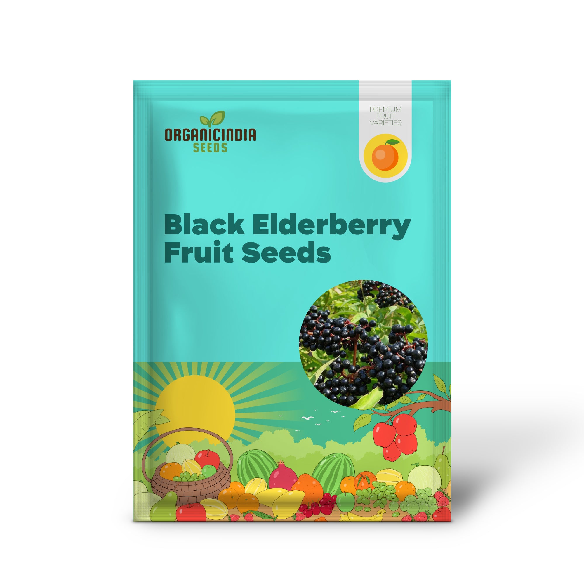 Premium Black Elderberry Fruit Seeds, Organic, Medicinal, Boost Immunity, Ideal for Home Gardens