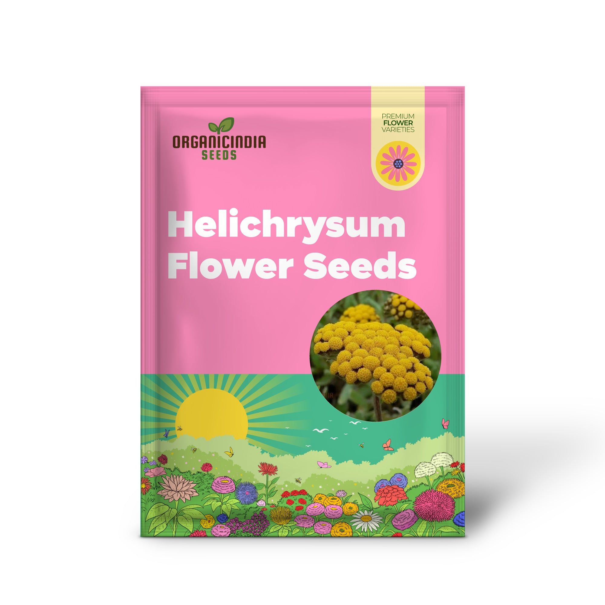 Helichrysum Flower Seeds for Gardening Enthusiasts - Perfect for Home Planting Projects