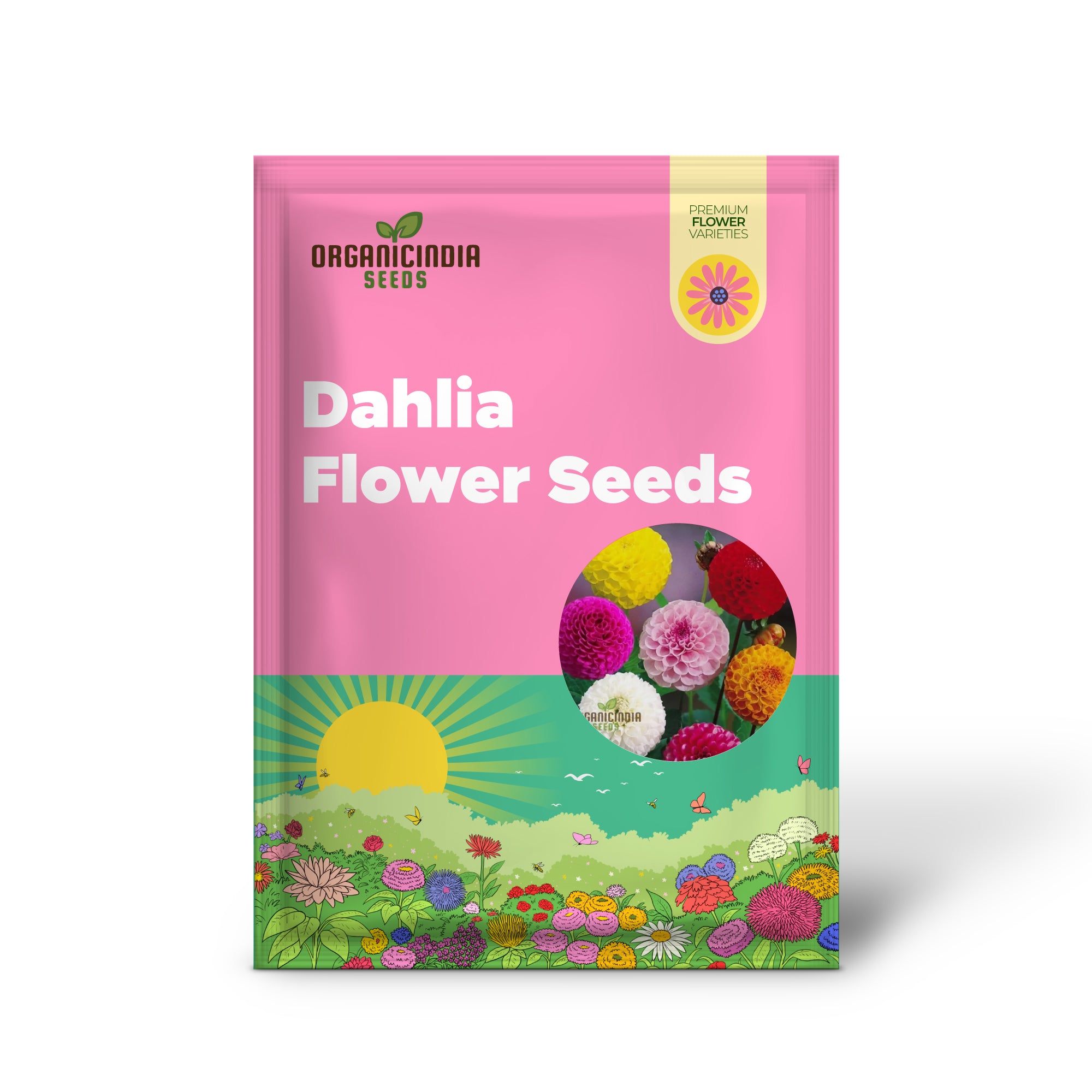 Graines de fleurs mixtes Dahlia Double, améliorez votre expérience de jardinage avec une gamme brillante de fleurs doubles et vibrantes !