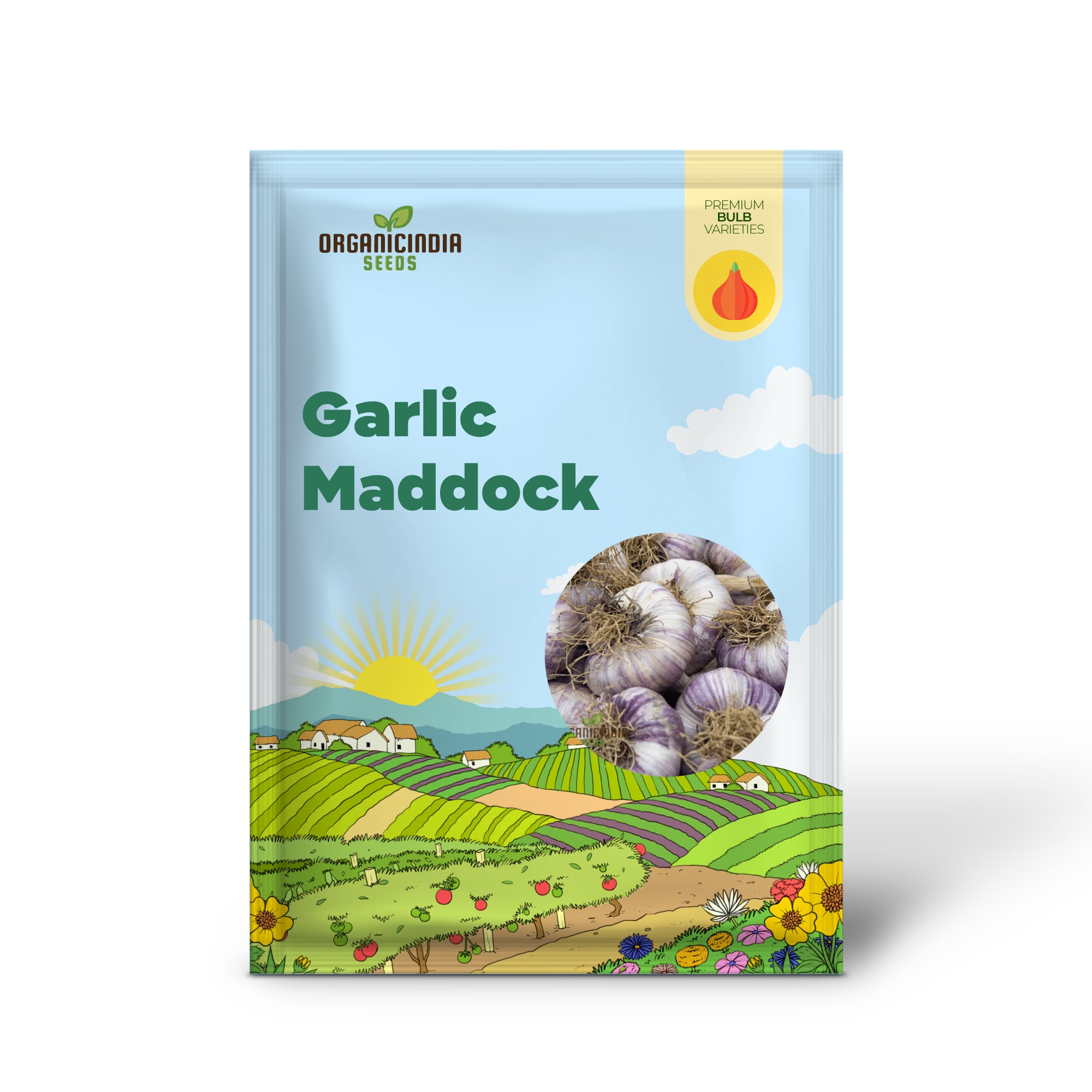 Garlic Maddock, Premium Organic Gardening Bulbs for Robust Growth and Flavorful Harvest, Perfect for Home Gardeners and Enthusiasts