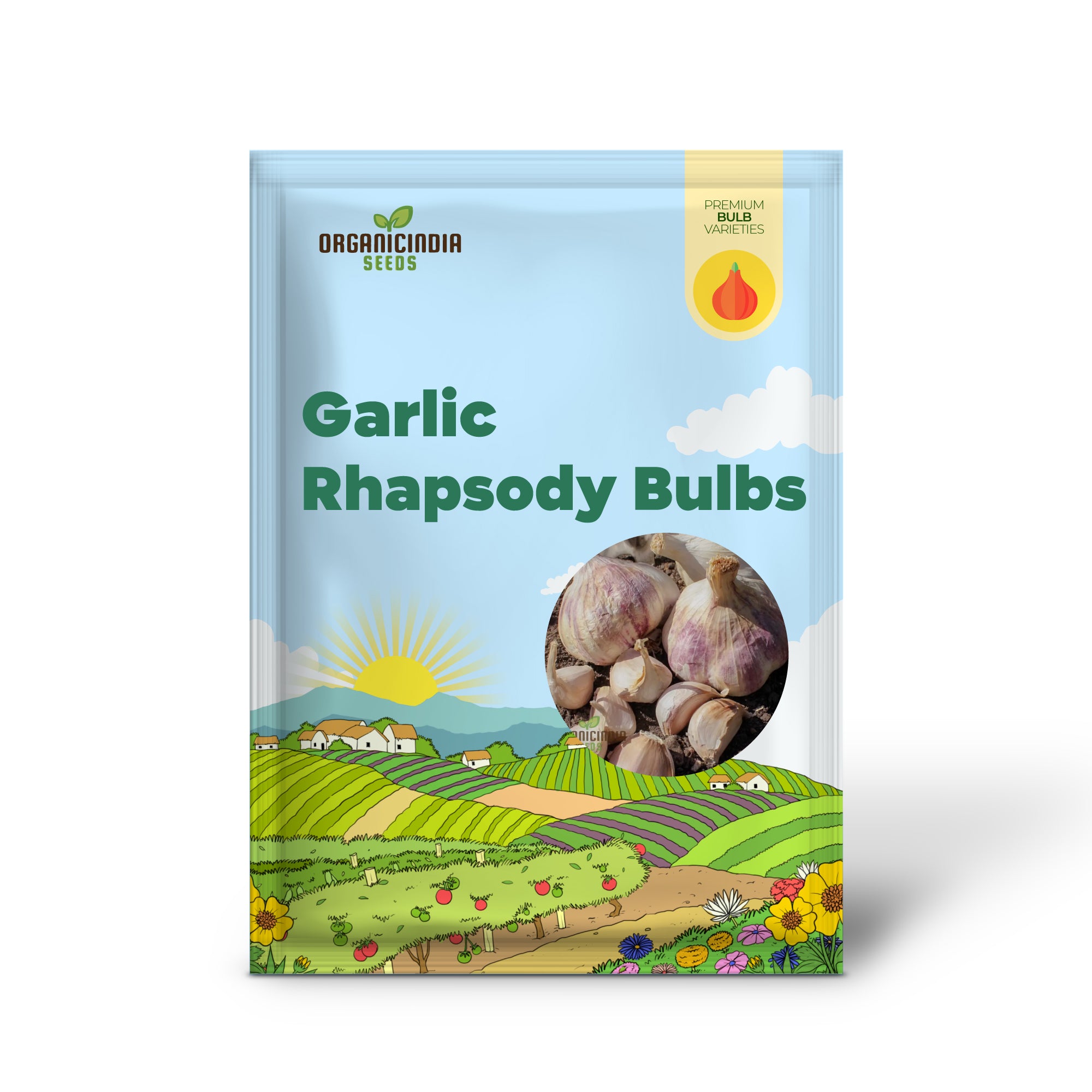 GARLIC RHAPSODY Premium Garlic Bulbs for Planting and Gardening, Ideal for Flavorful Culinary Creations and Healthy Harvests