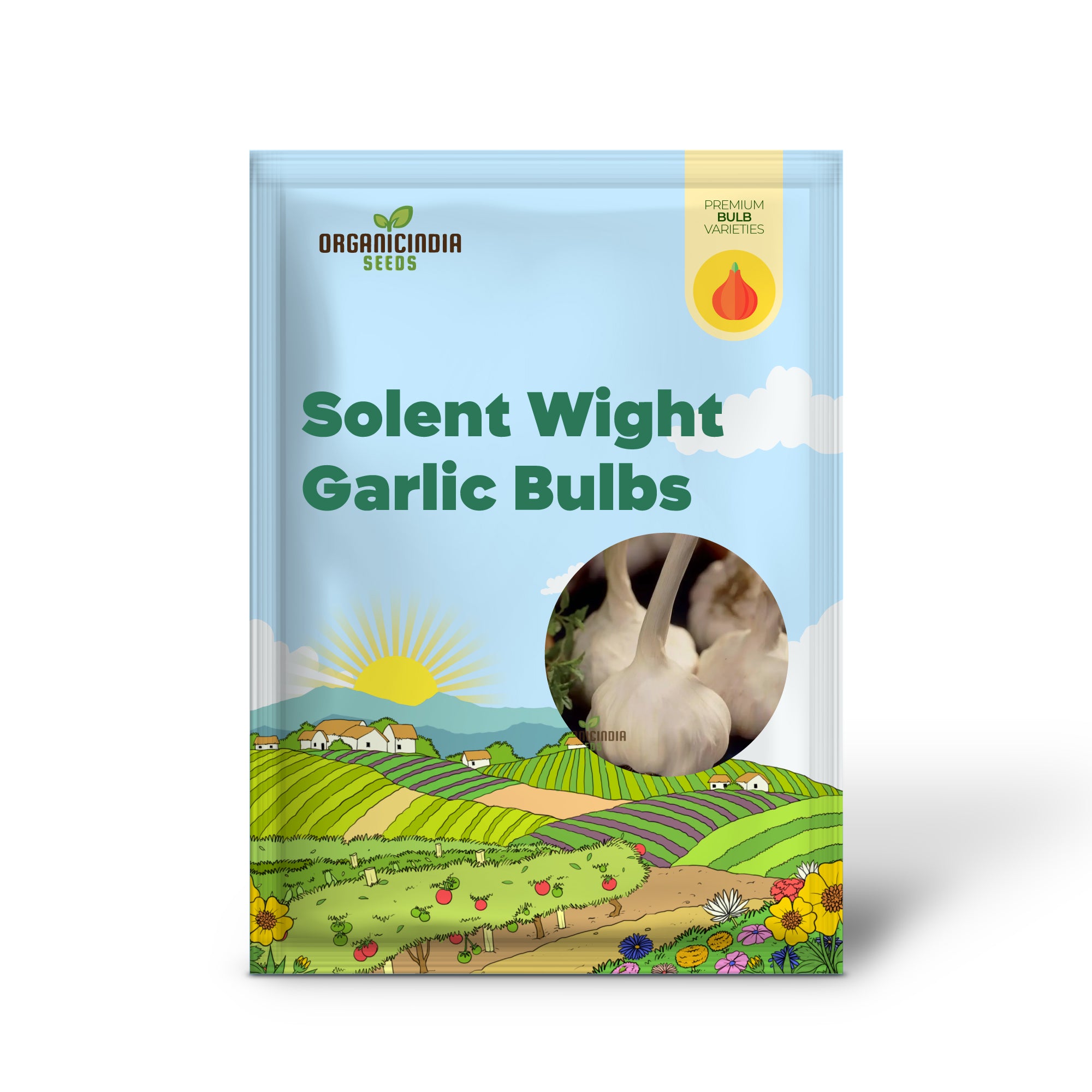 Solent Wight Garlic Bulbs for Planting,  Ideal for Home Gardening, Culinary Delights, and High-Yield Harvests